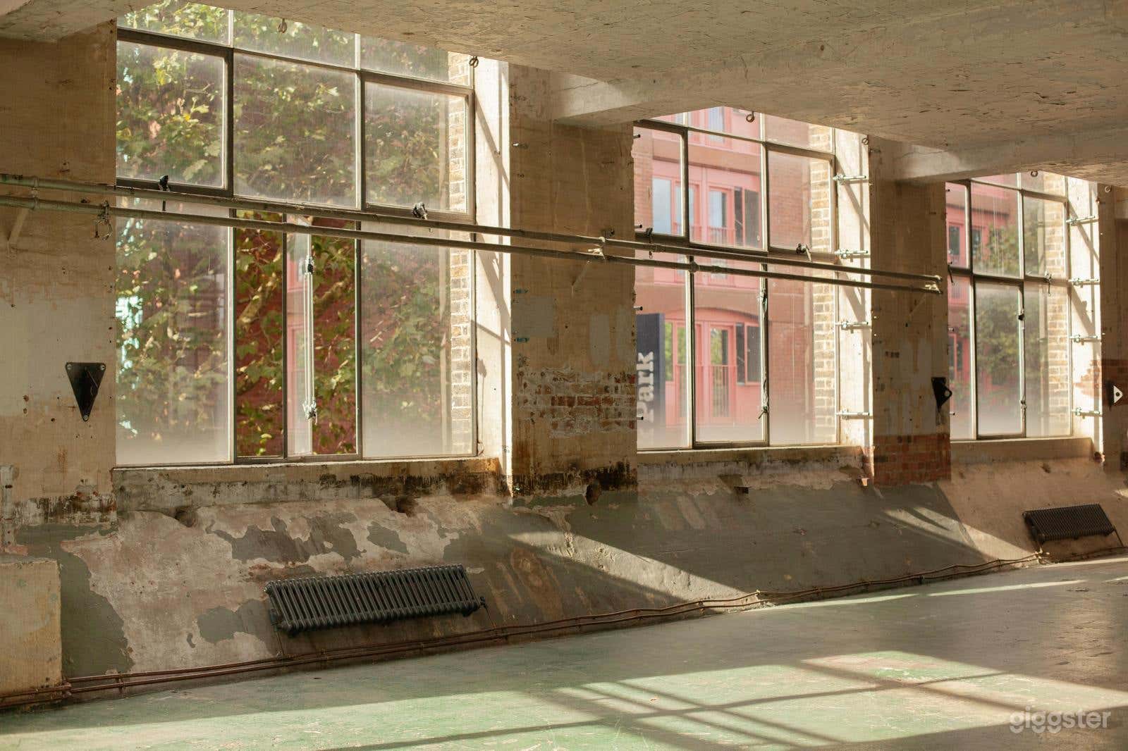 Algha's plantroom Photo 4