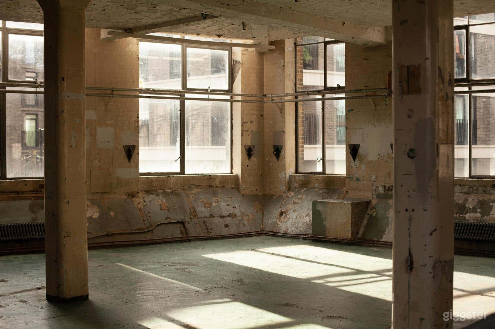Algha's plantroom Photo 1