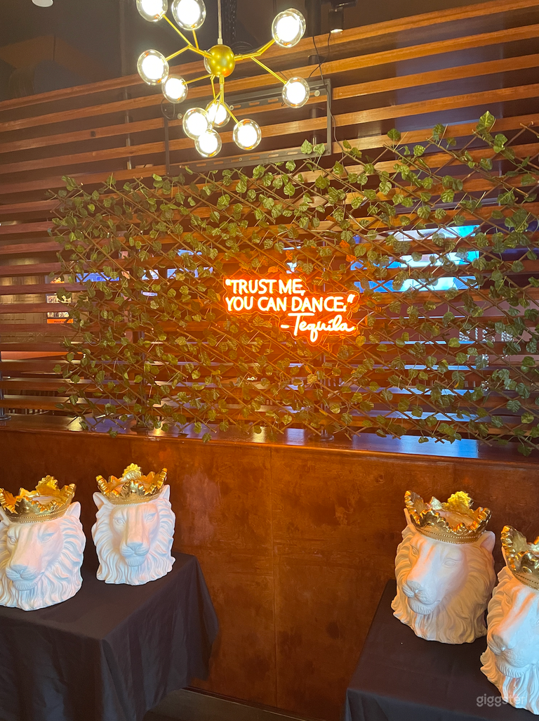  Our specialty accent wall, great for photos &quot;Trust Me You Can Dance&quot; - Tequila.  