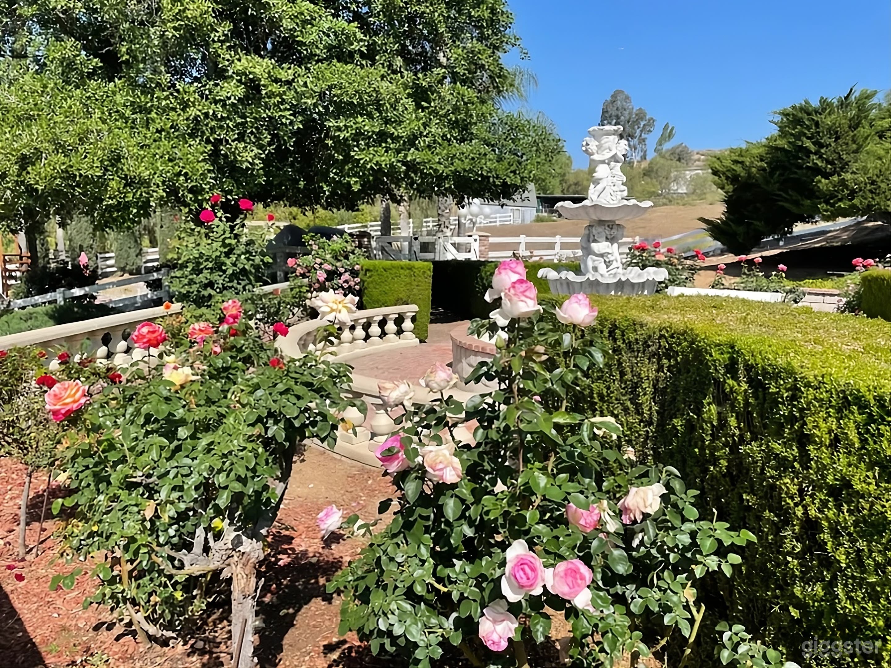 Private Estate Backyard Photo 1