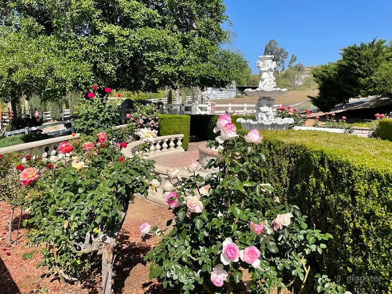  Private Estate Backyard 