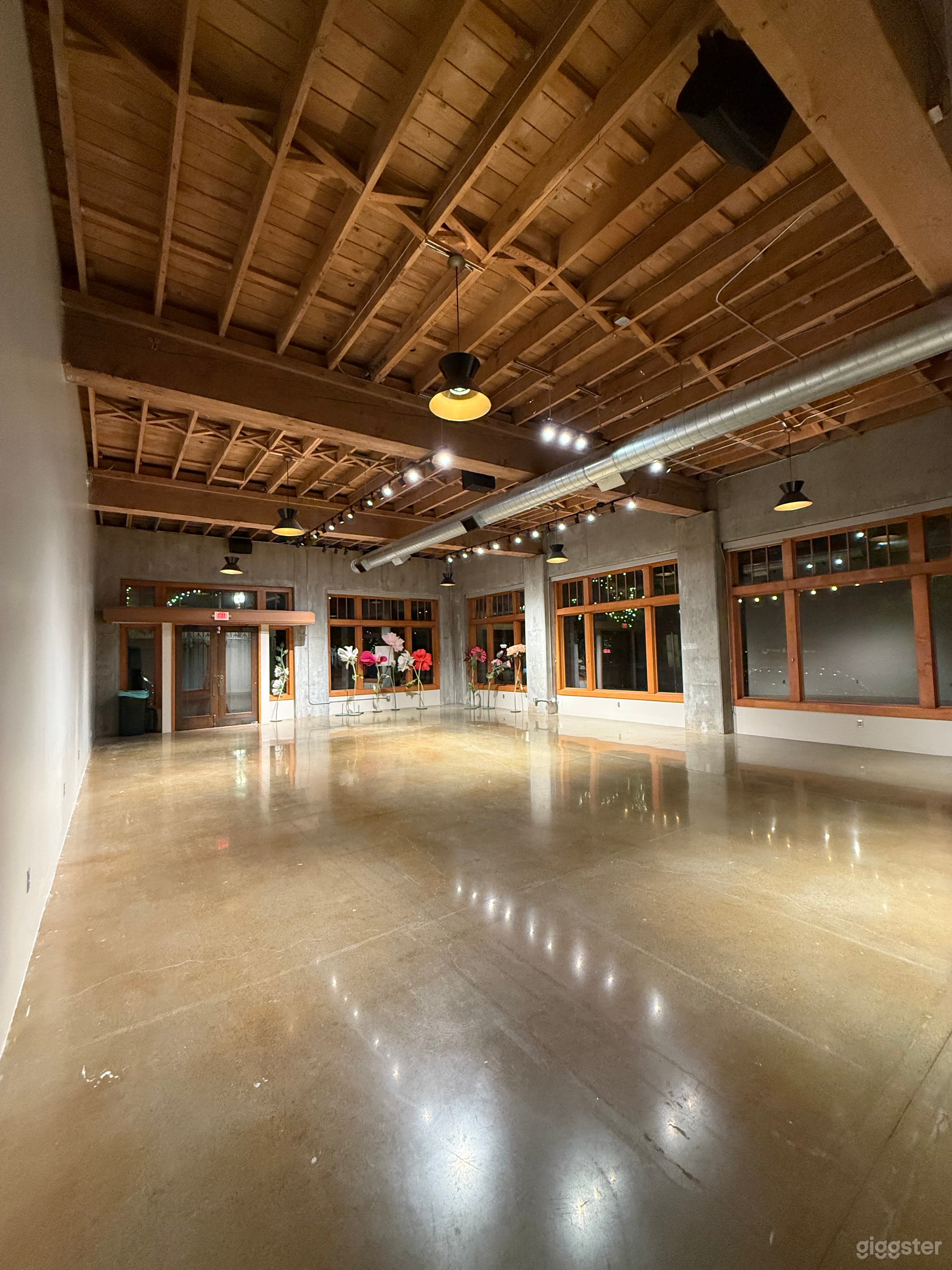 Main space - night shot, canned and track lighting 