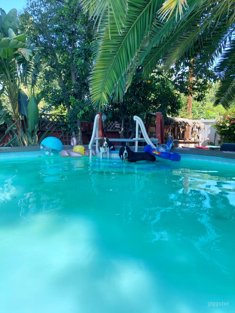  Charming Lake Balboa Pool & Spacious Yard Retreat 