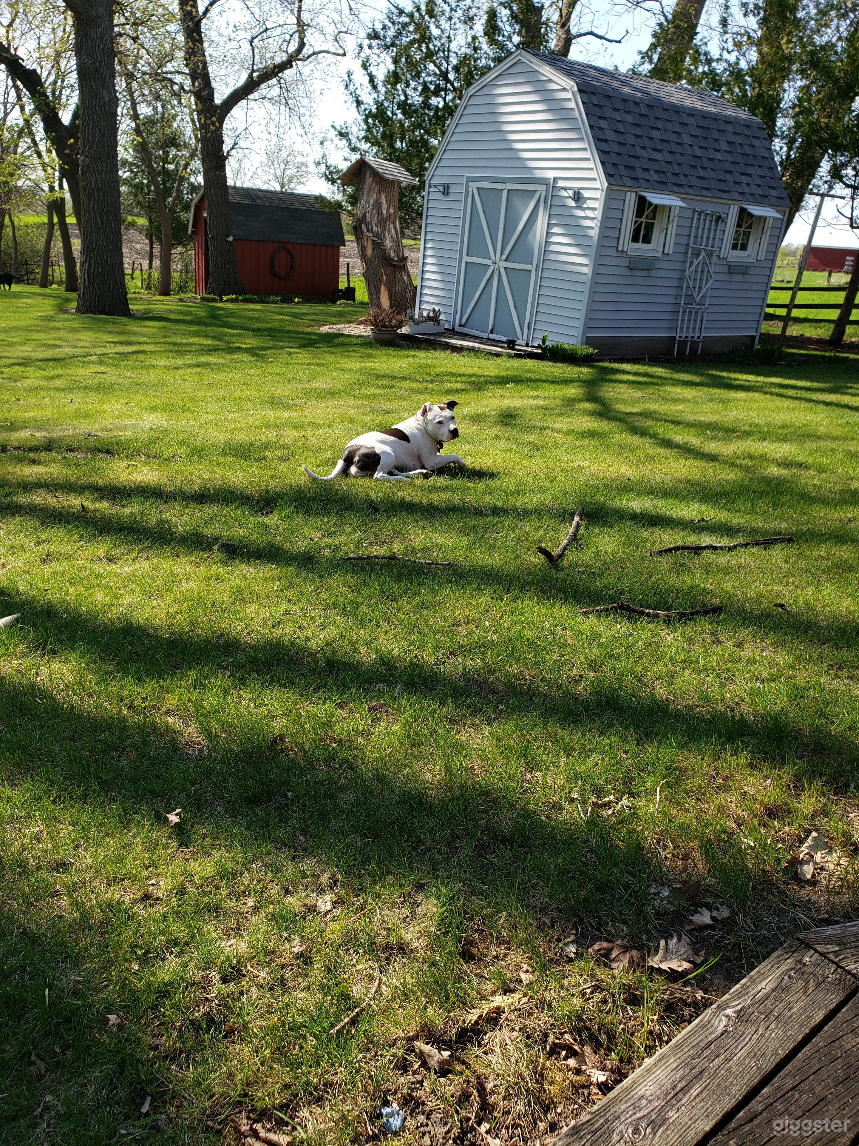 Rural hobby farm - one with nature. Photo 2