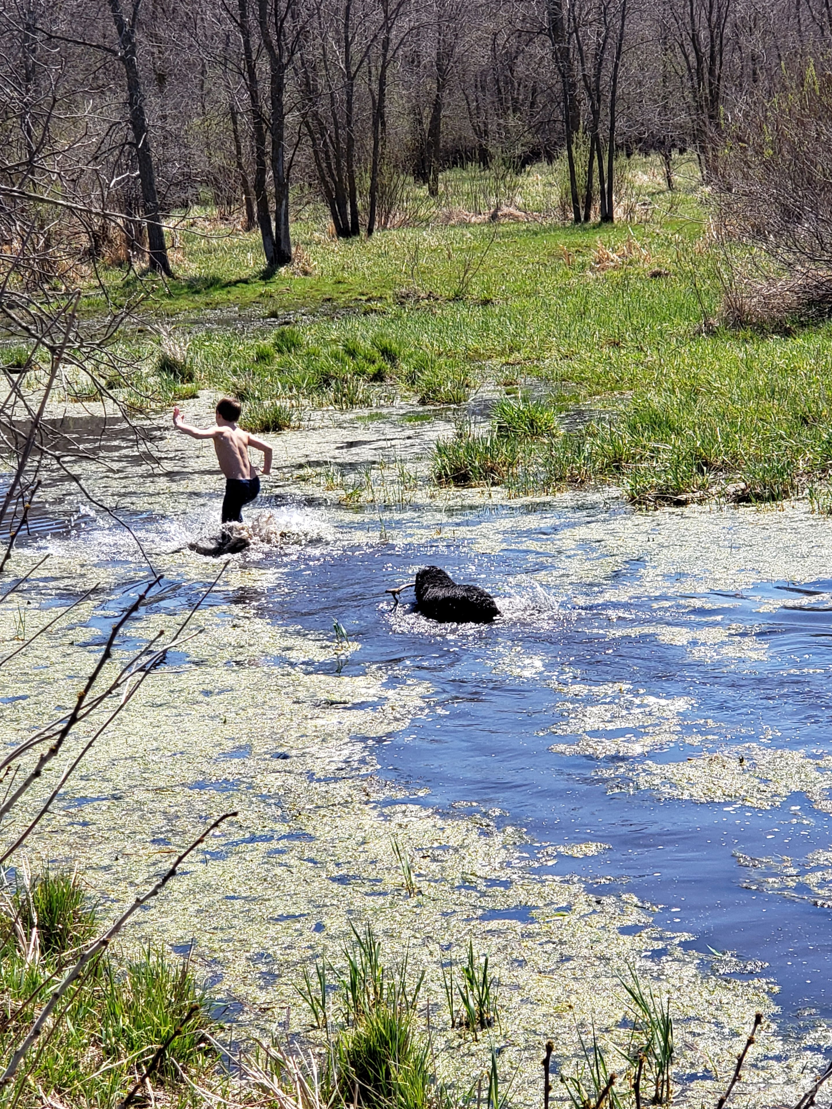 Rural hobby farm - one with nature. Photo 3