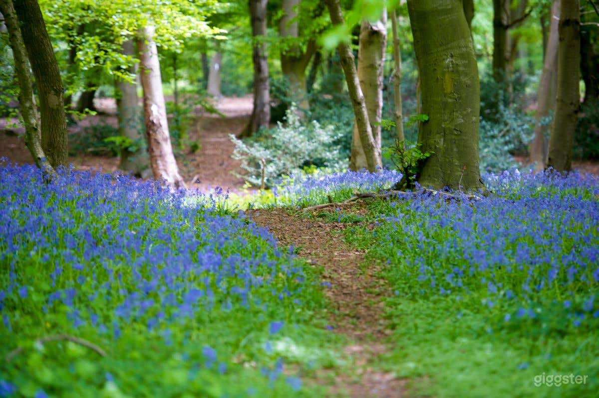 Private Country Barn Venue with Meadows &amp; Woodland Photo 3