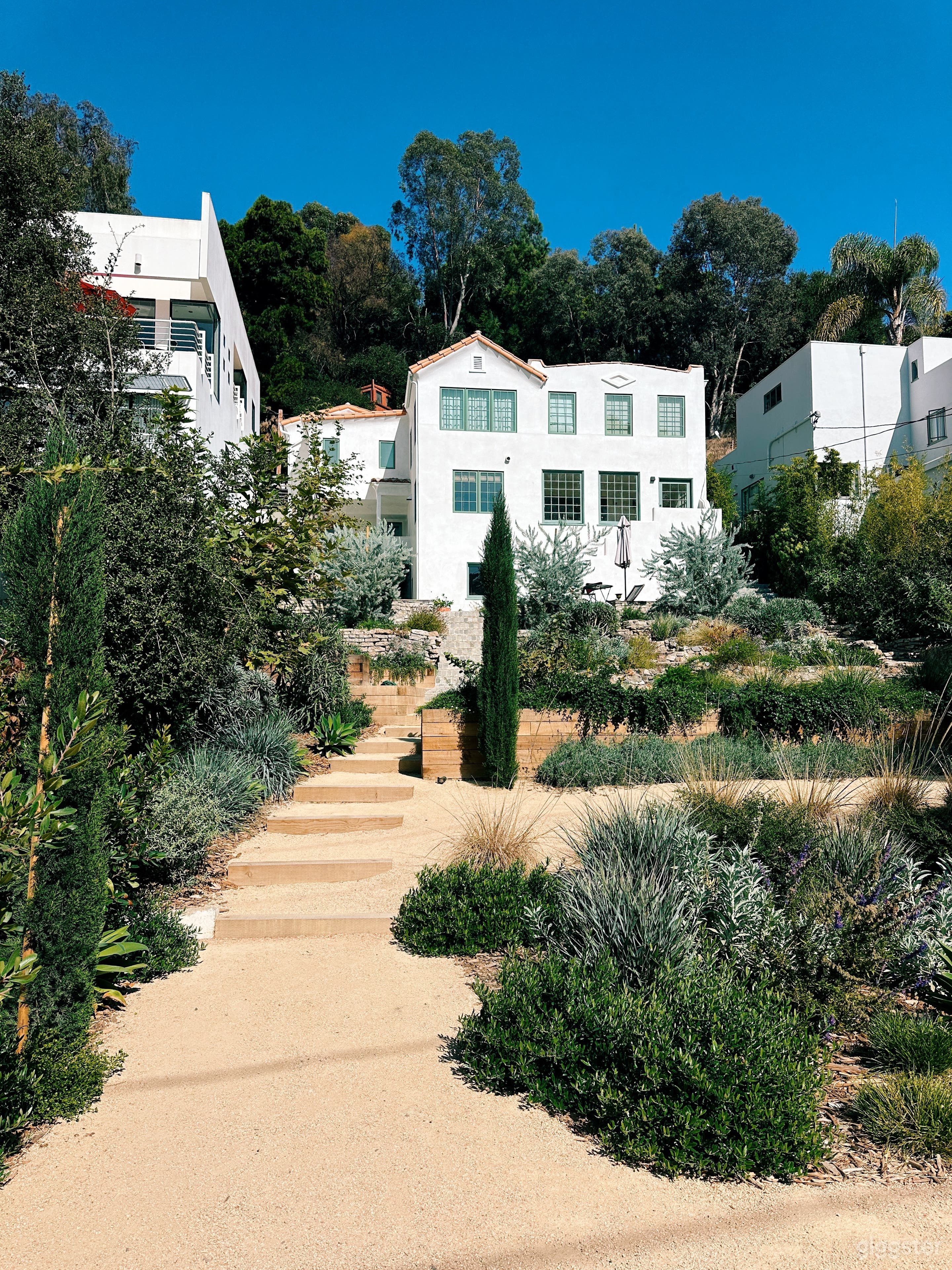 Backyard. California native plants; landscaped by Terremoto.