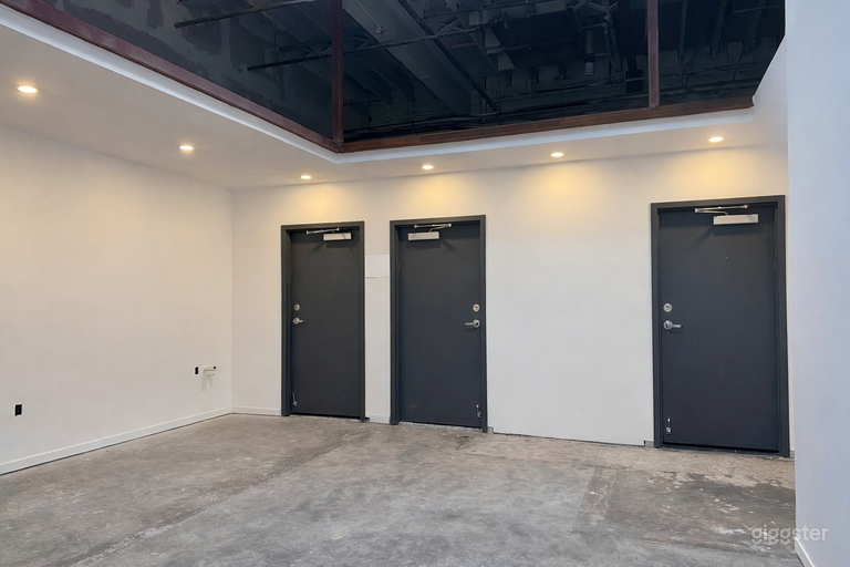   Professional Wood Dance Studio 