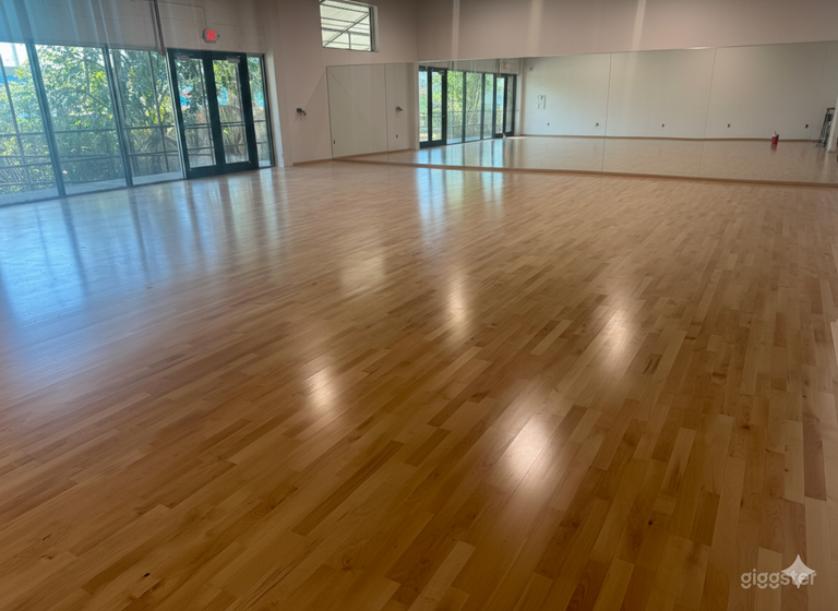   Professional Wood Dance Studio 