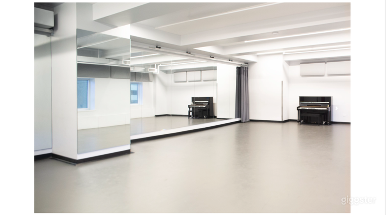  Large 912 sf studio #11J 