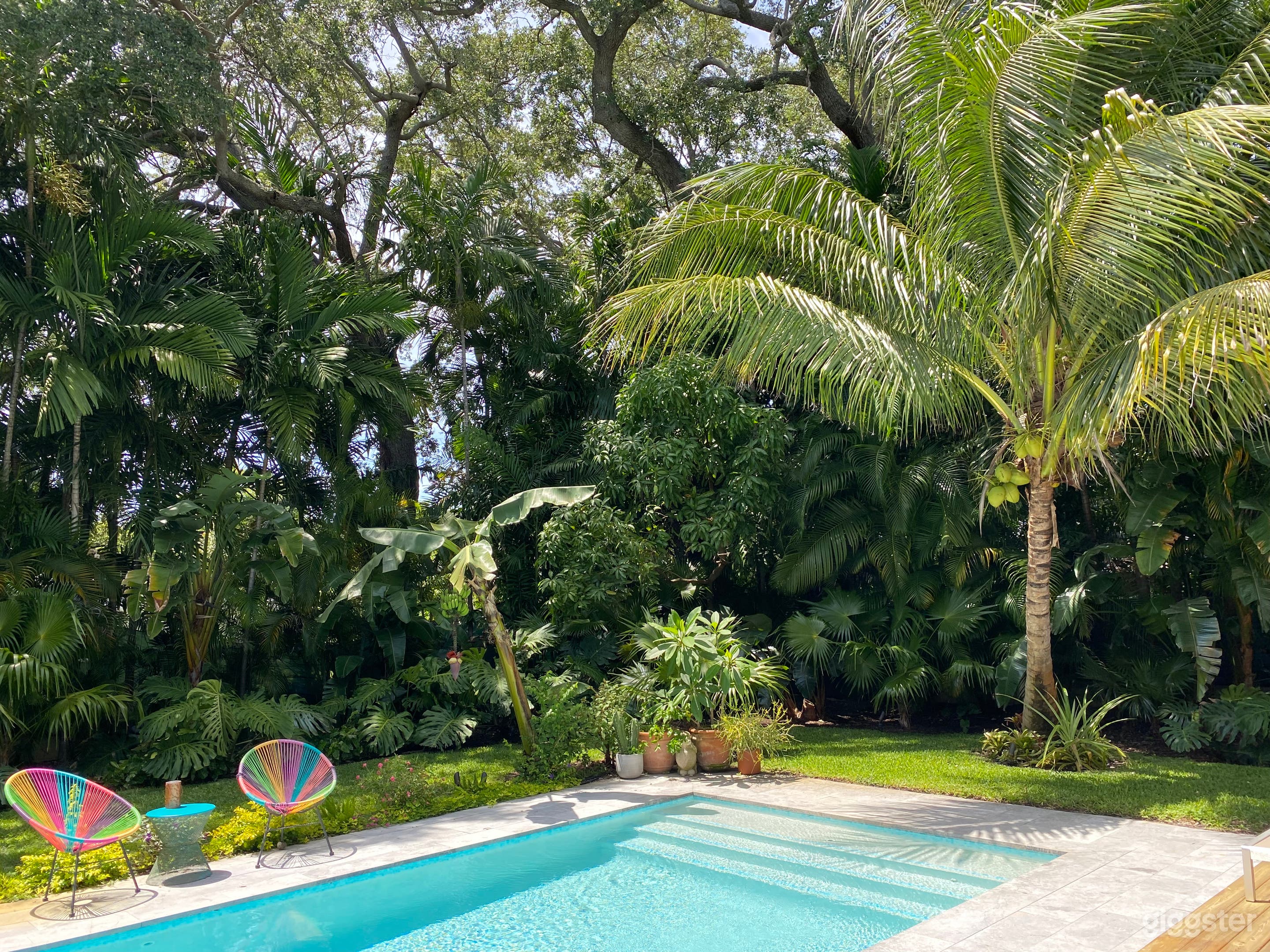 Miami Tropical Pool and Garden Oasis Photo 3