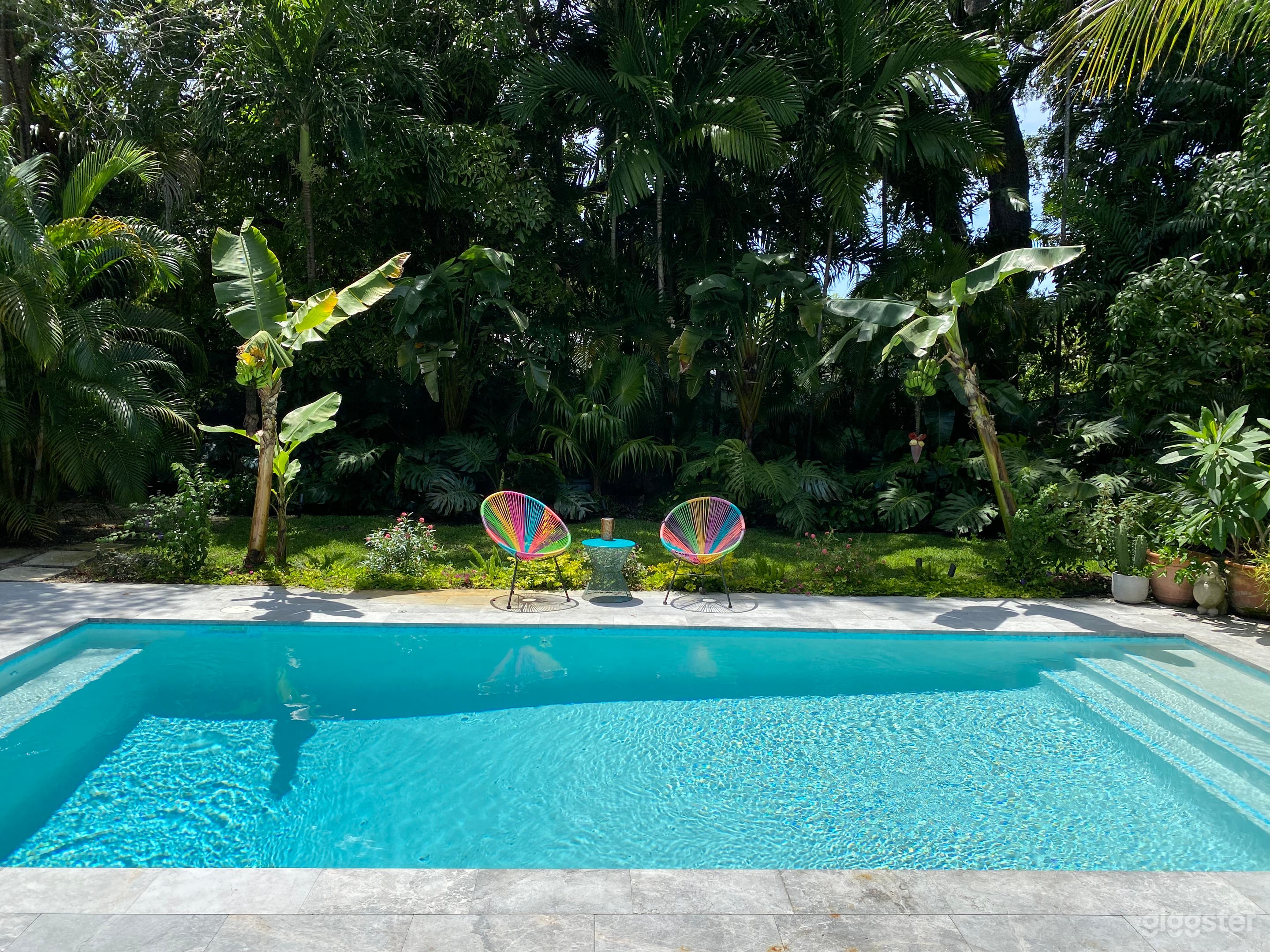 Miami Tropical Pool and Garden Oasis Photo 1