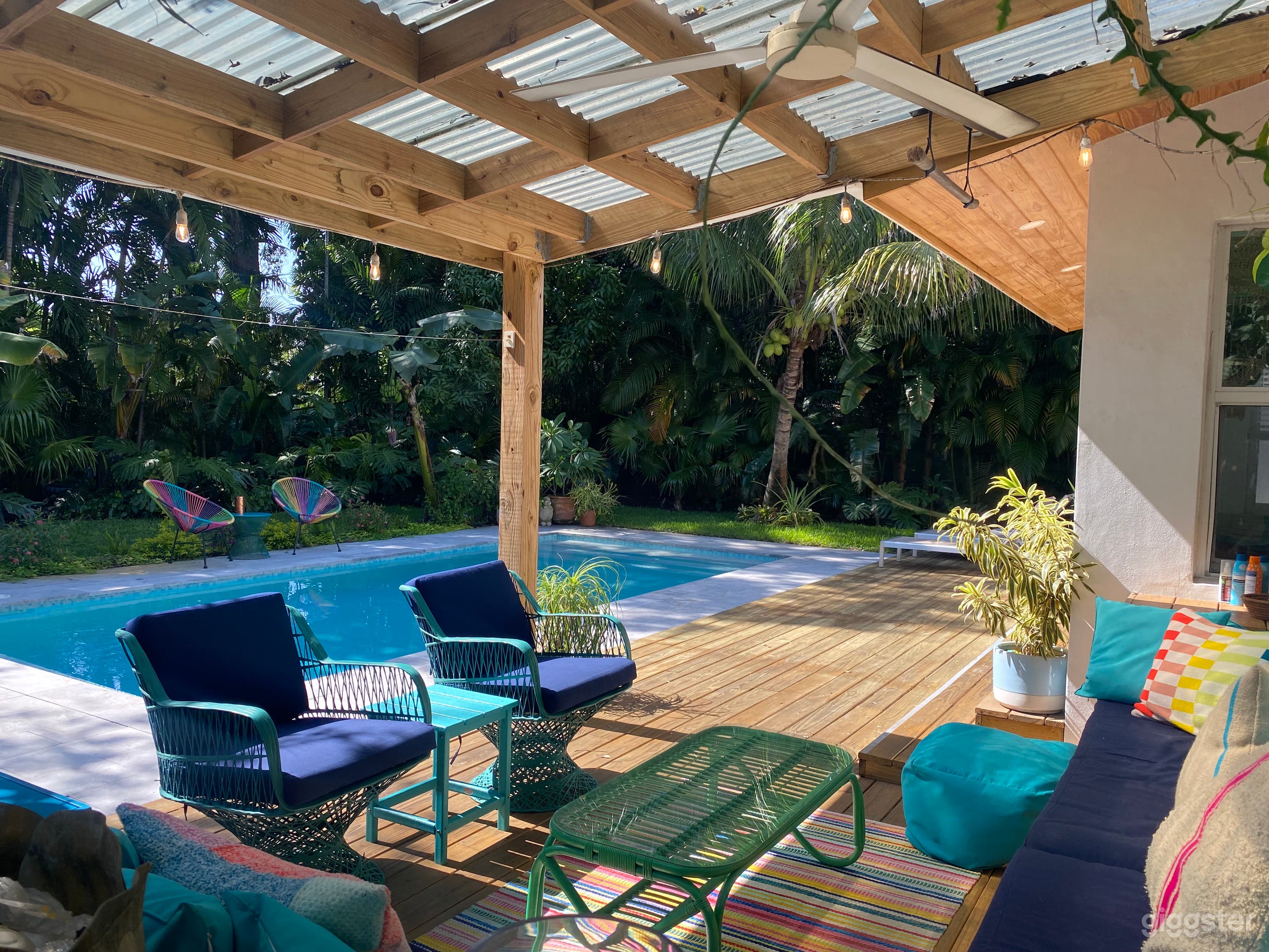 Miami Tropical Pool and Garden Oasis Photo 4