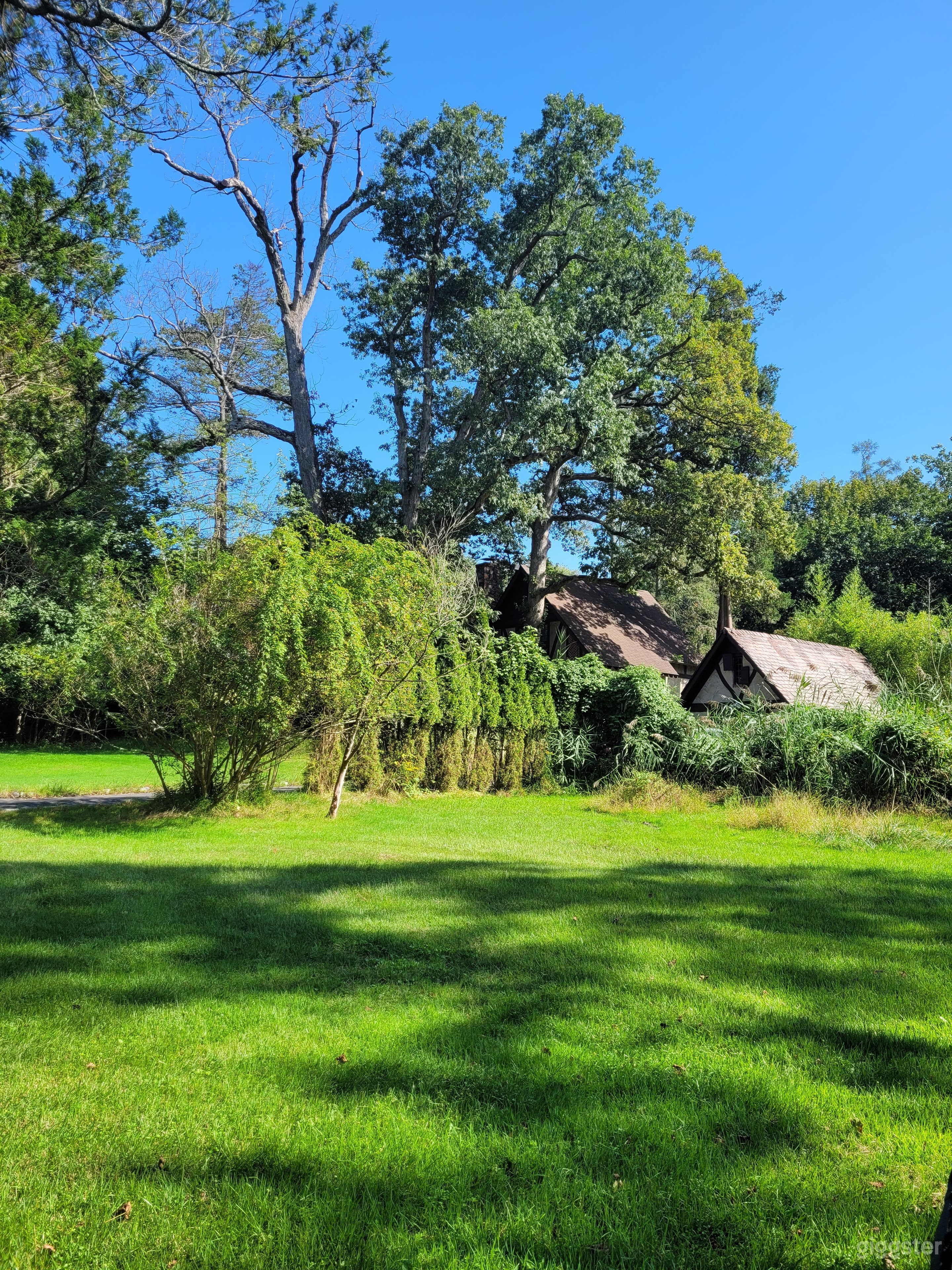 Long driveway, 3 houses, parklike yard, parking Photo 4