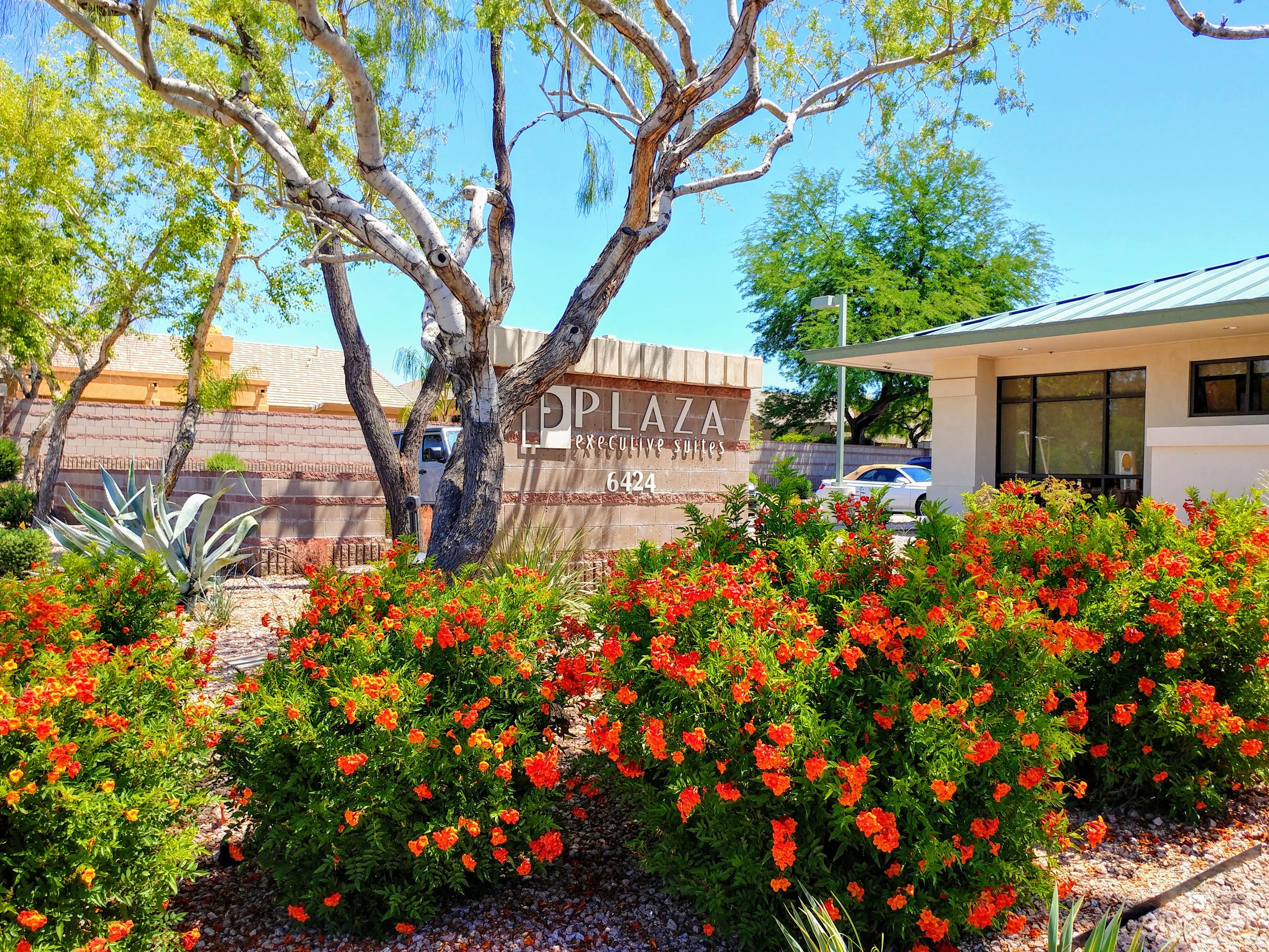 Scottsdale Executive Suites for 5 Photo 4