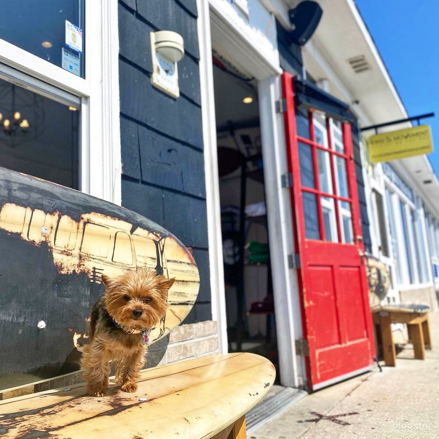 Trendy Instagrammable Boat Shop Photo 2
