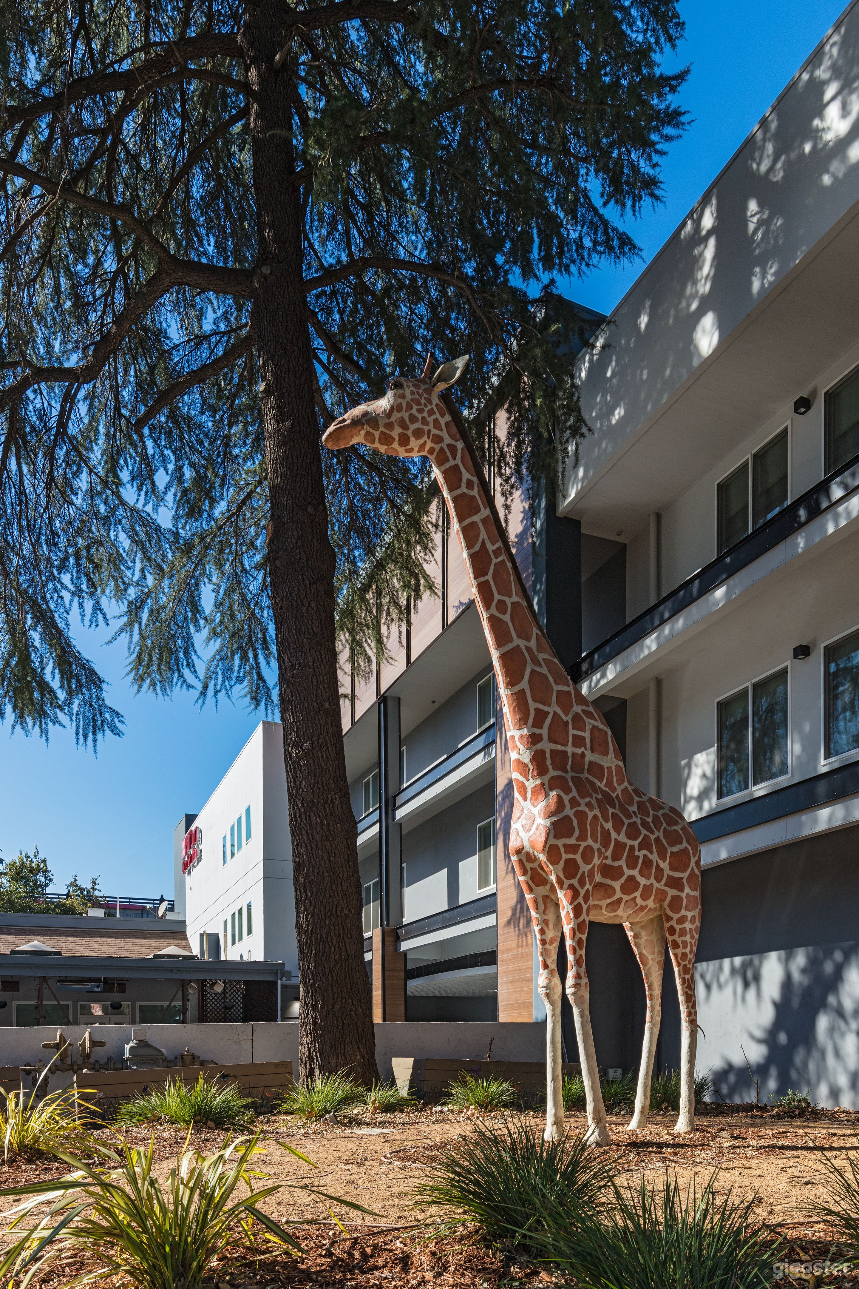 Downtown Hotel, near UC Davis! Photo 1