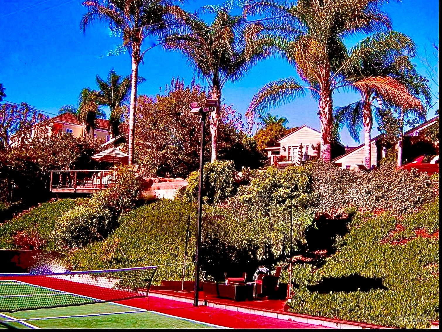 Cinematic Hollywood Hills backyard retreat! Photo 1