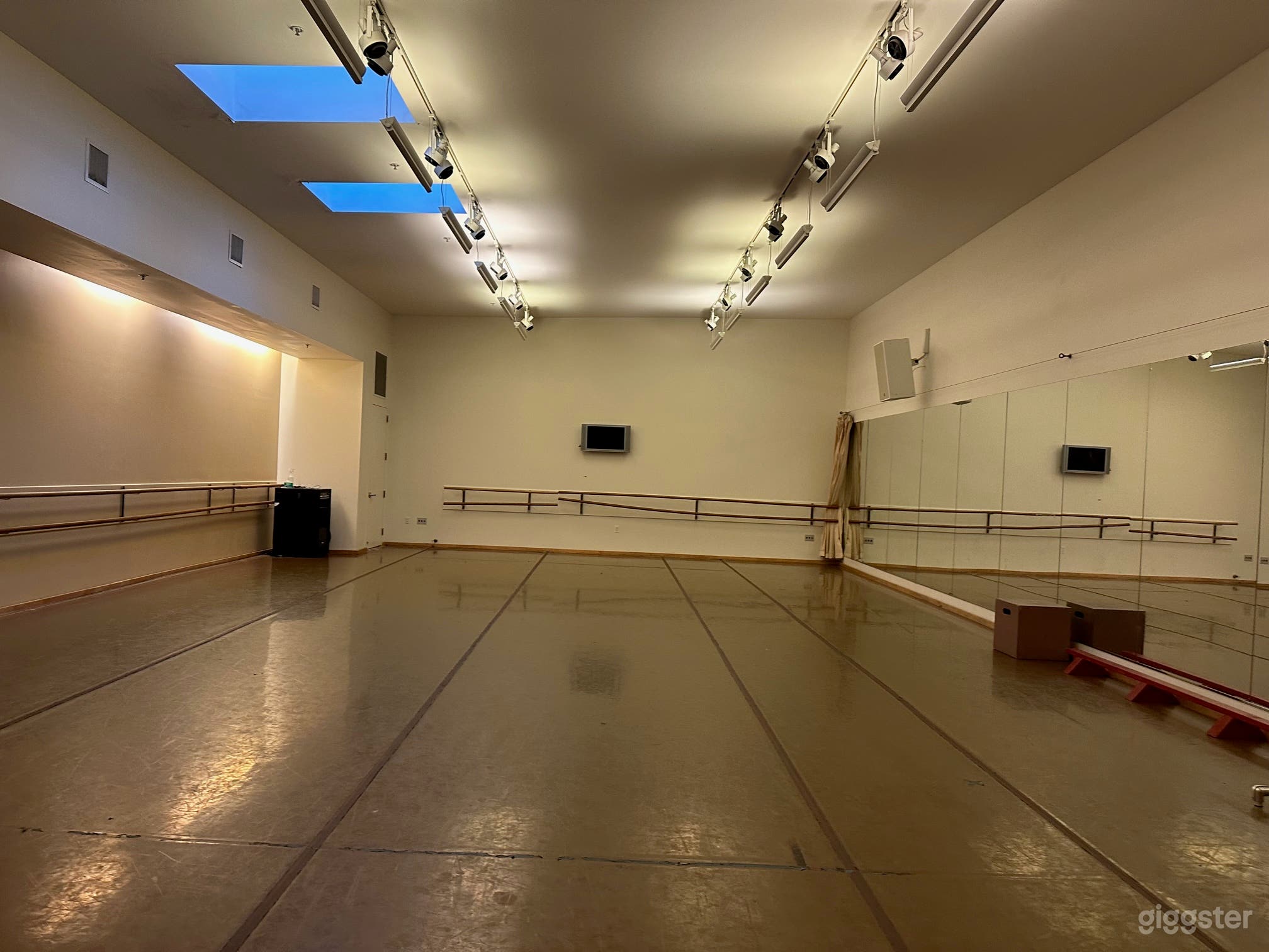 1,500 SQ. FT. Studio with Brown Marley Floor (Feintech) Photo 1