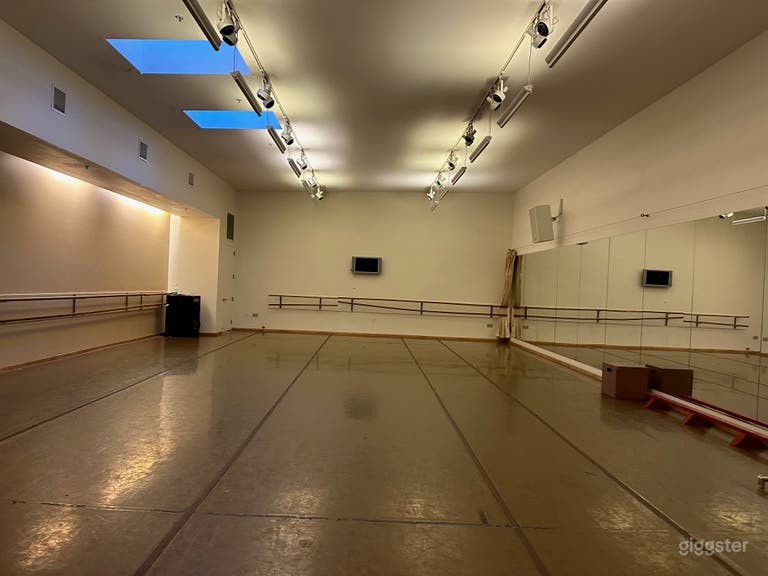  1,500 SQ. FT. Studio with Brown Marley Floor (Feintech) 