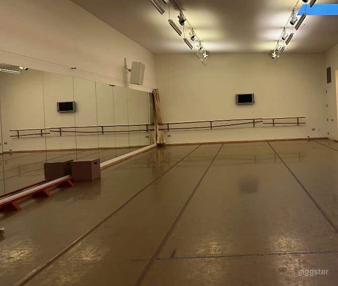 1,500 SQ. FT. Studio with Brown Marley Floor (Feintech) Photo 3