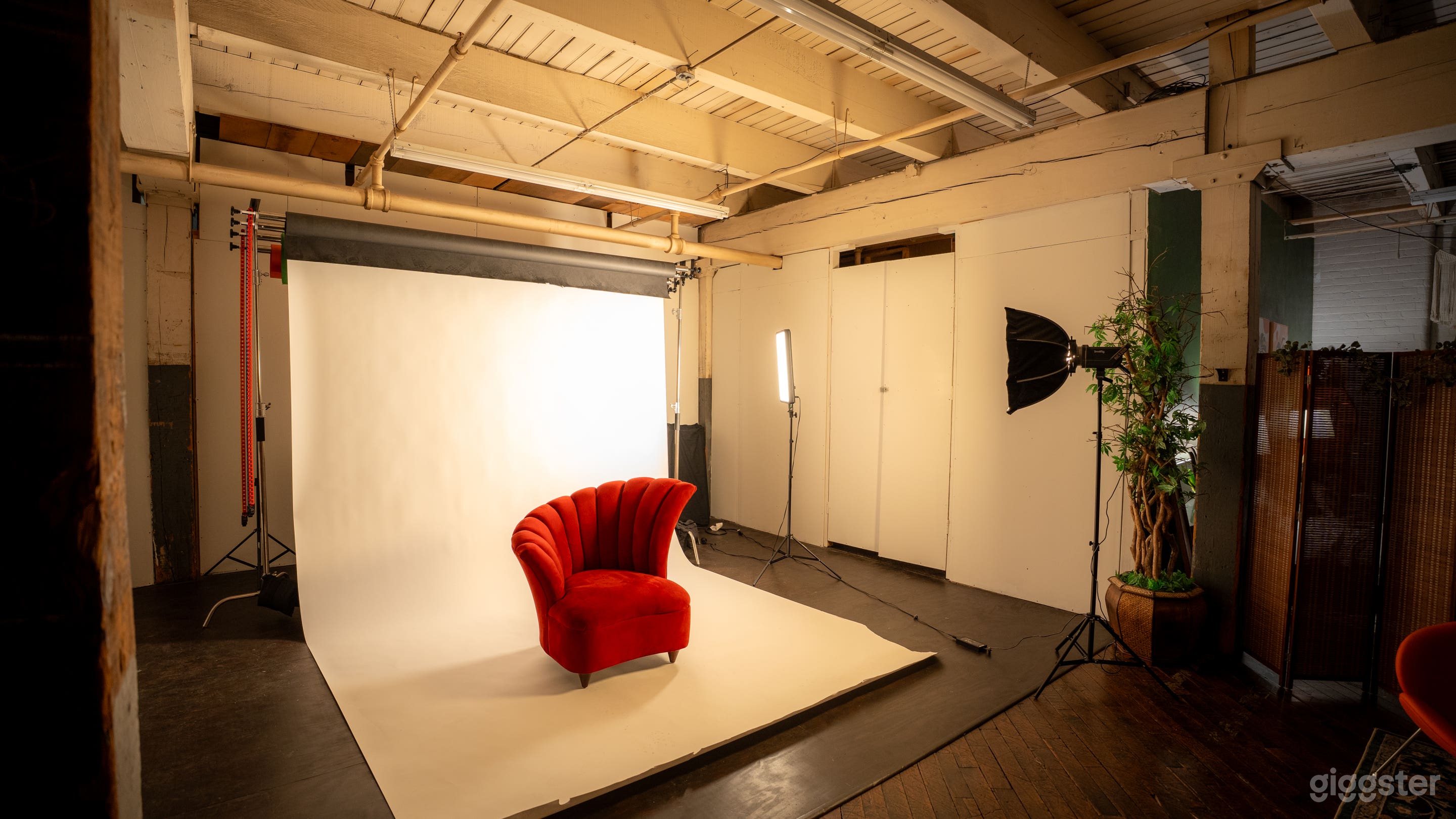 Mid-Century Modern Photo Studio Photo 2