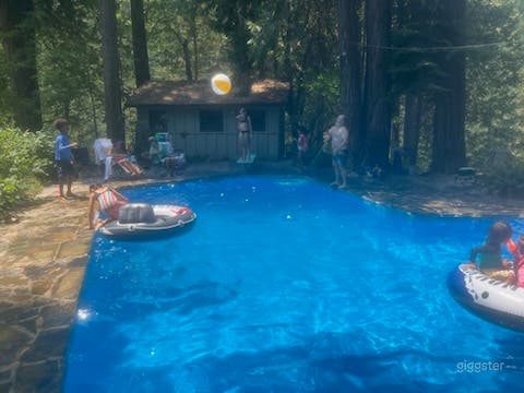 Riverside Mid-Century Modern Pool Photo 2