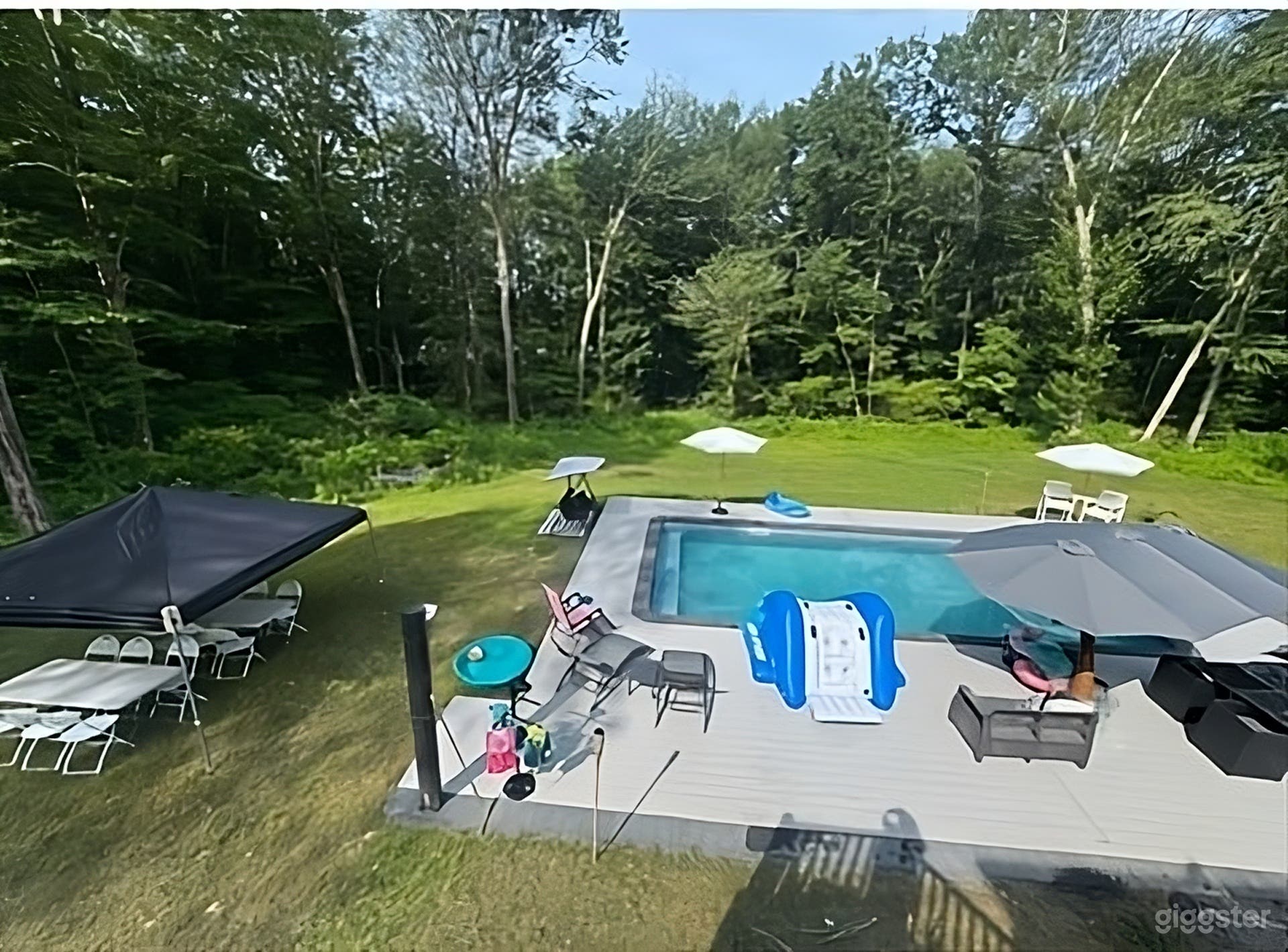 Stunning Backyard with Modern Pool Photo 4