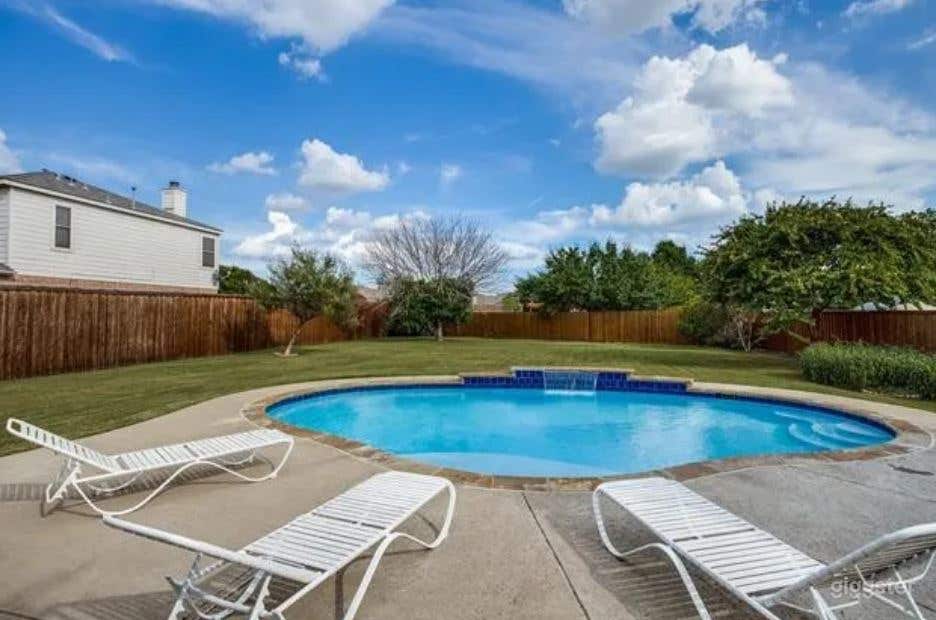 Blue Water Backyard Pool in Little Elm Photo 1