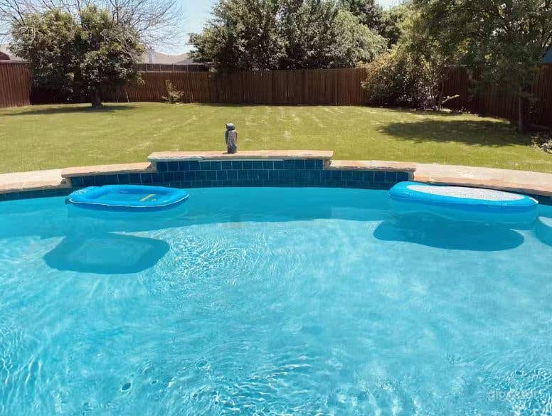 Blue Water Backyard Pool in Little Elm Photo 3