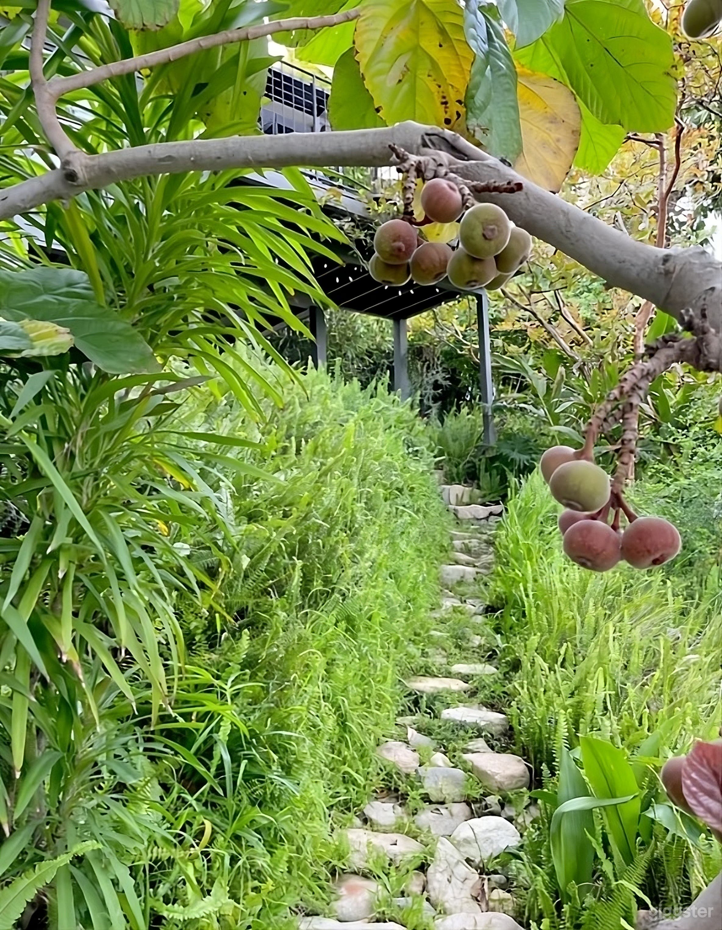 Secluded Tropical Modern Backyard Photo 4