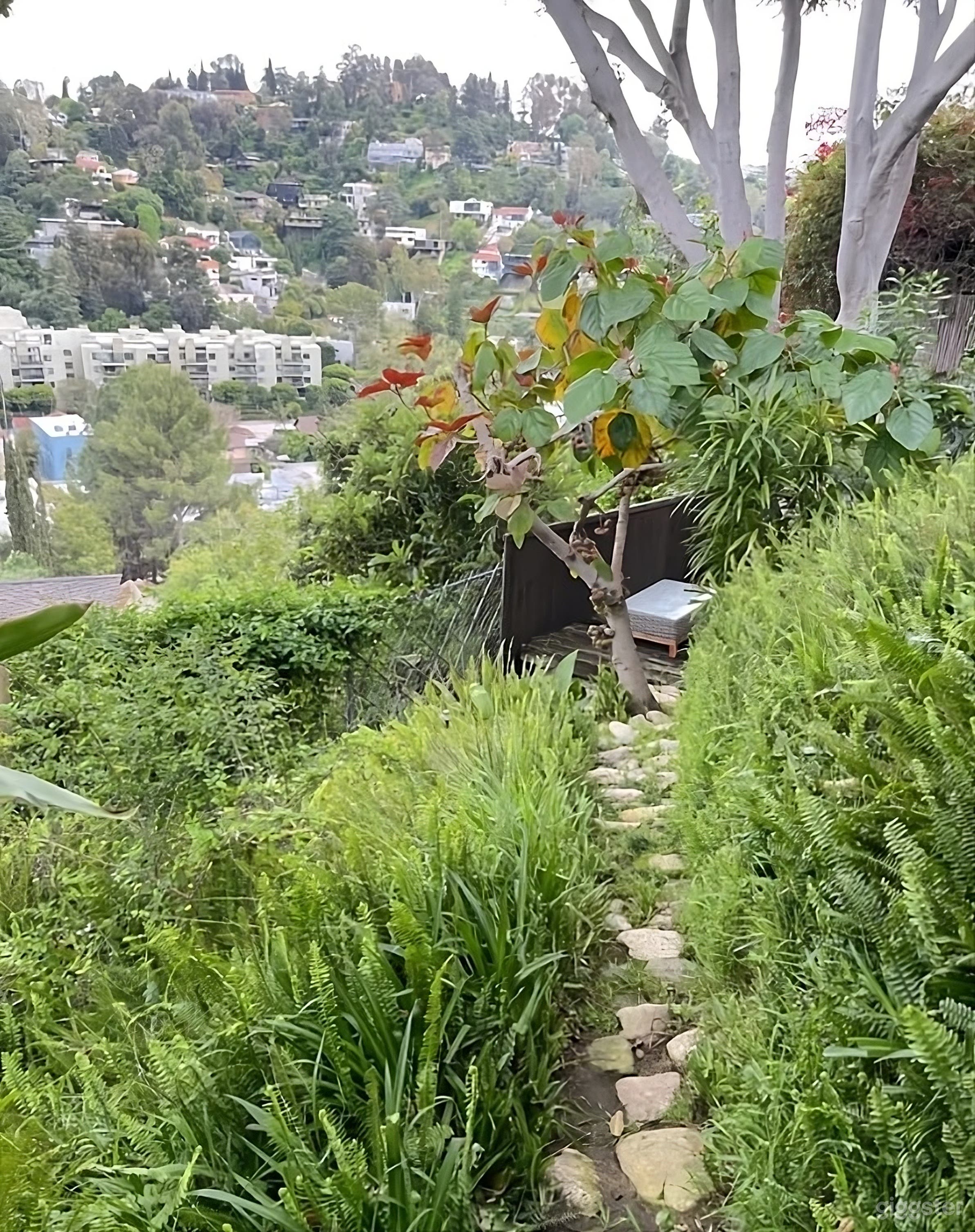 Secluded Tropical Modern Backyard Photo 2