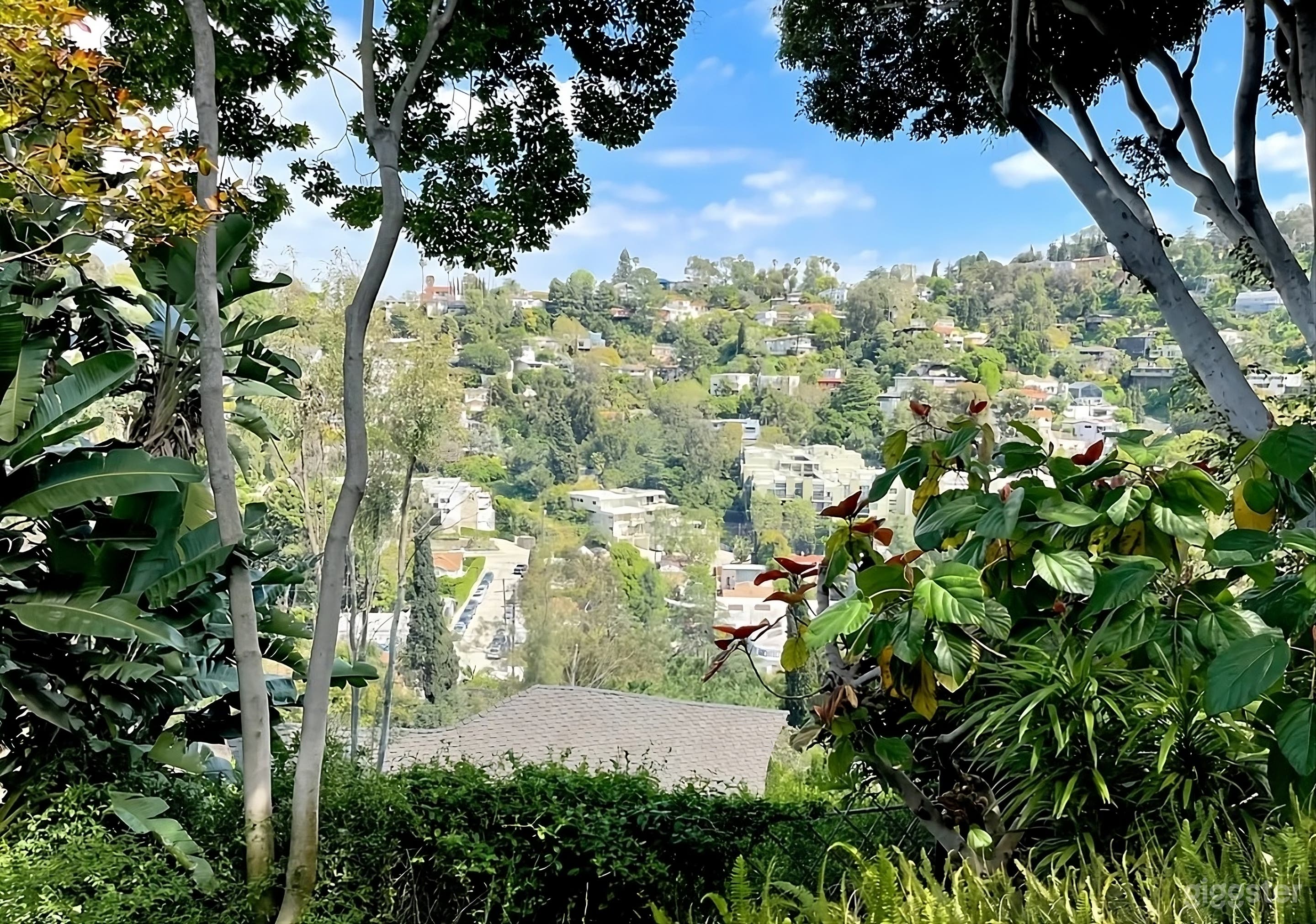 Secluded Tropical Modern Backyard Photo 3