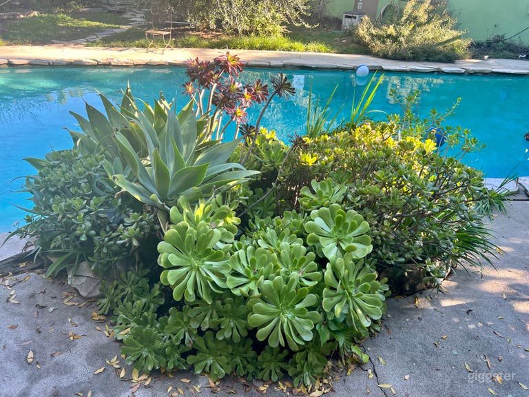  Urban Homestead 1950's Bohemian-Chic Sanctuary  