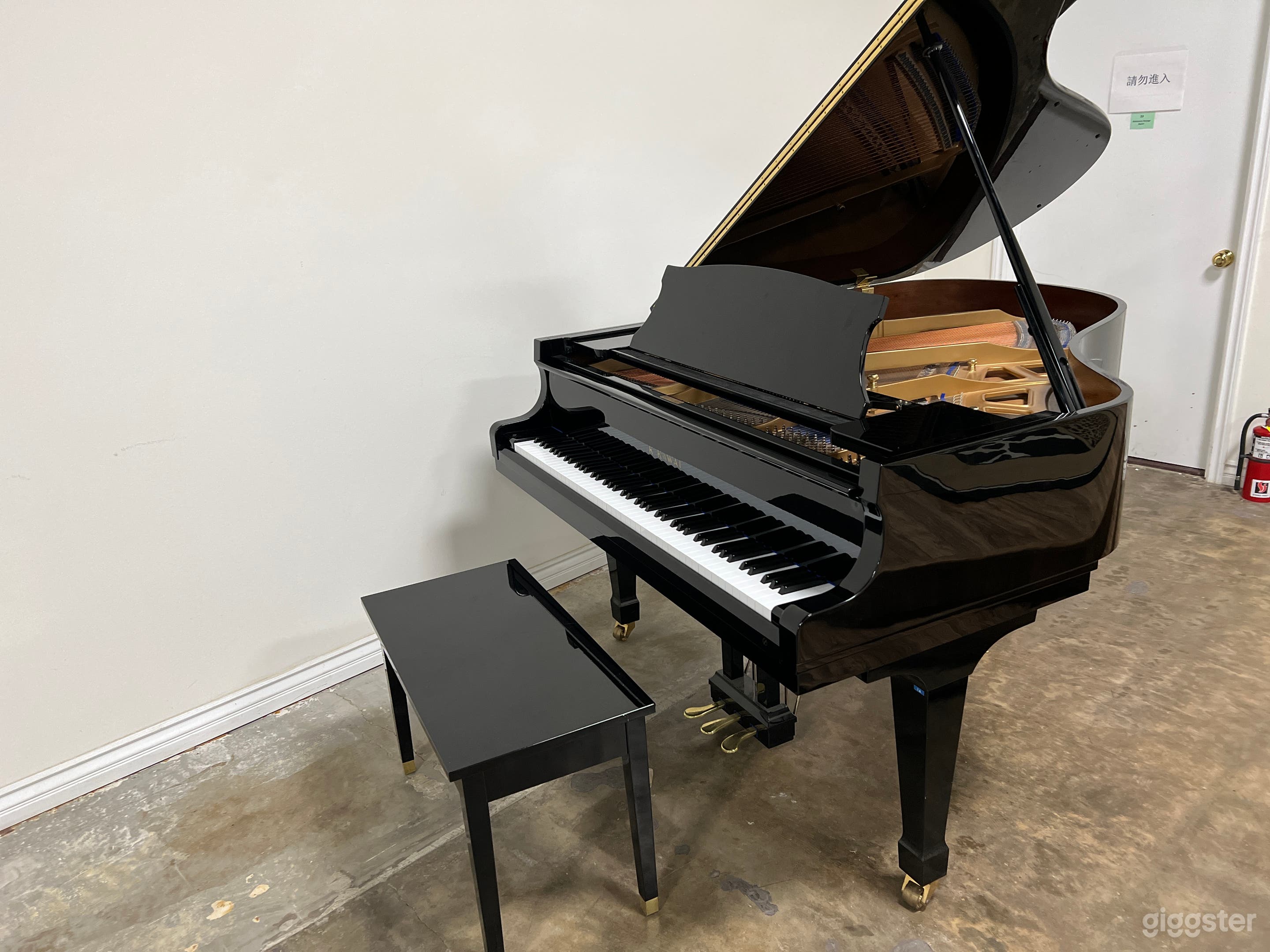 Photo/Video/Podcast Studio and Recording Studio Photo 3