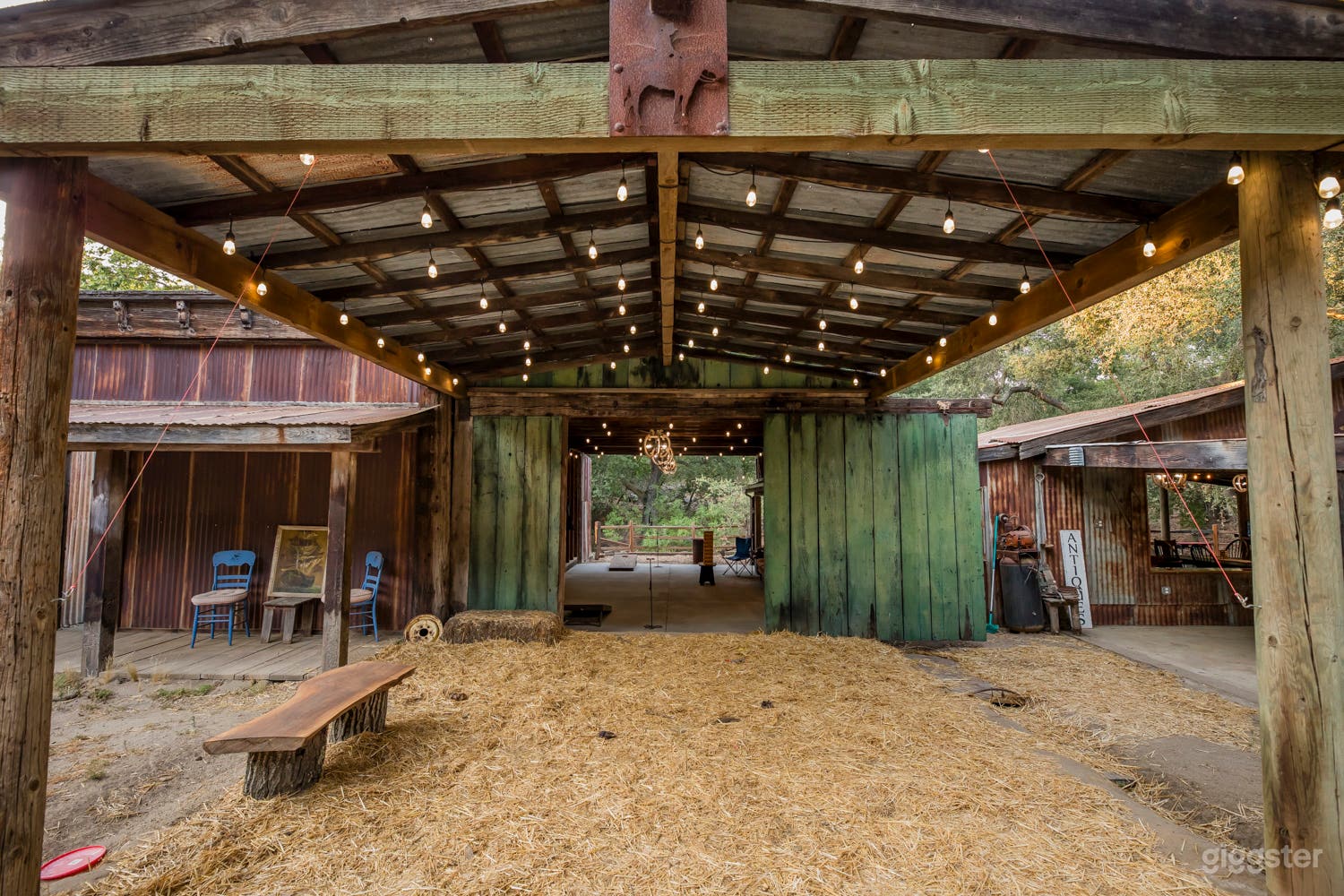 Gypsy Cowboy Photo 3