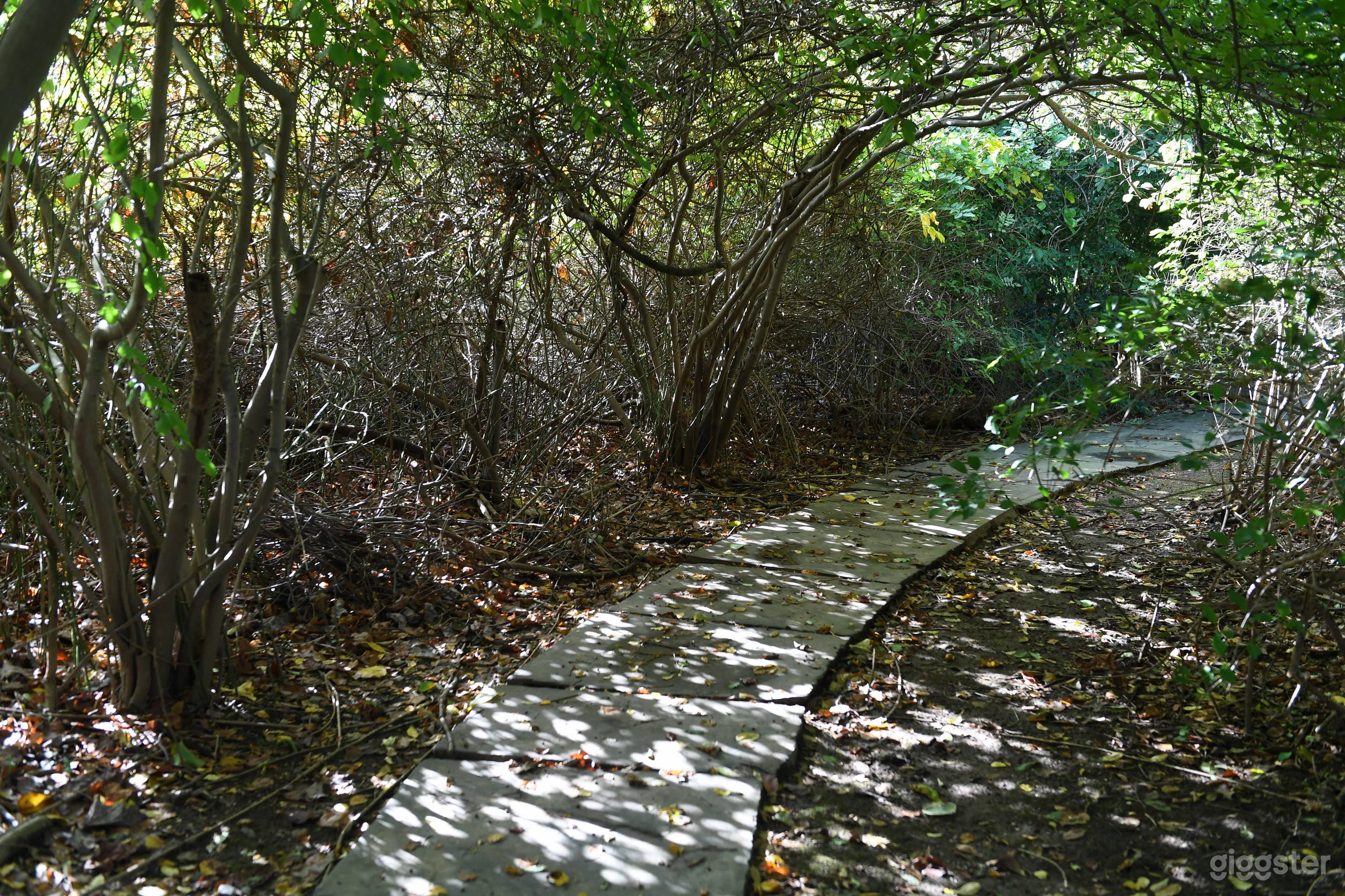 1925 Georgian Manor Mansion Photo 4