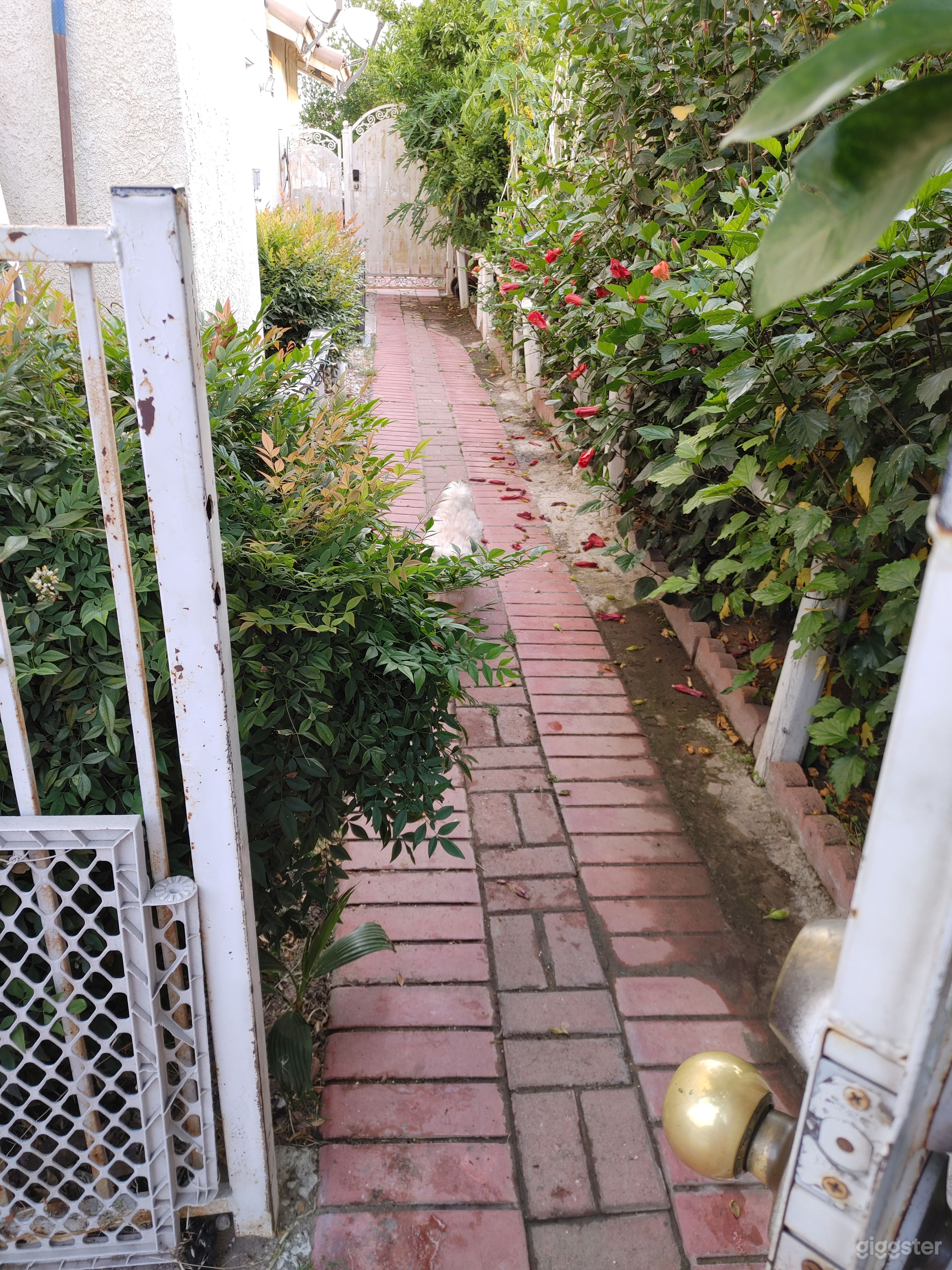 Family home with daycare areas Photo 4