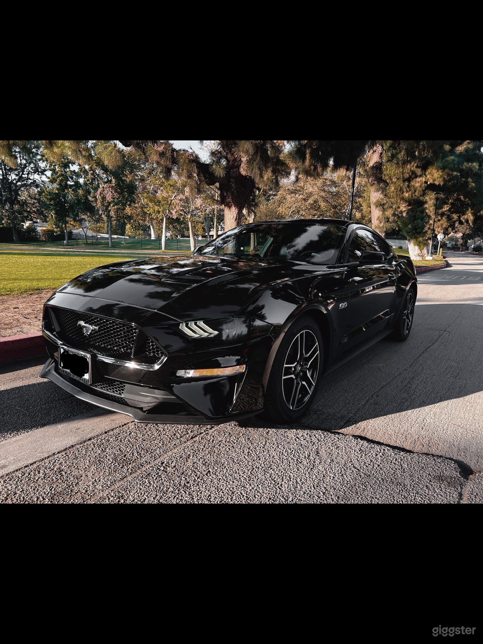 2022 Ford Mustang GT premium Photo 3