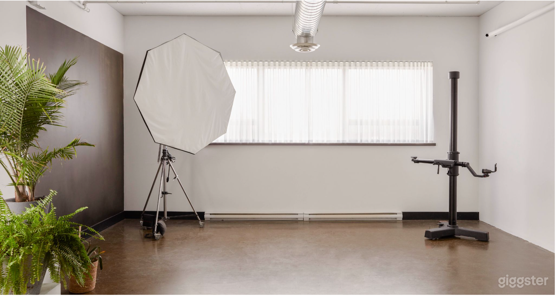 The Daylight Studio Photo 3