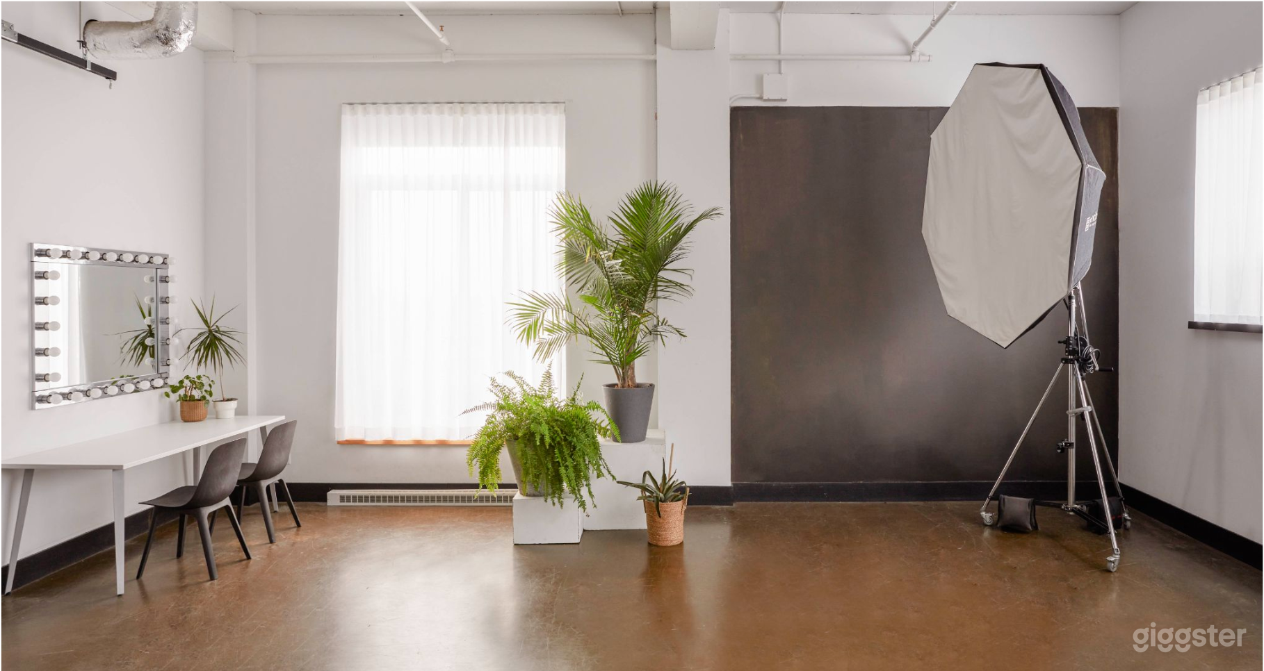 The Daylight Studio Photo 1