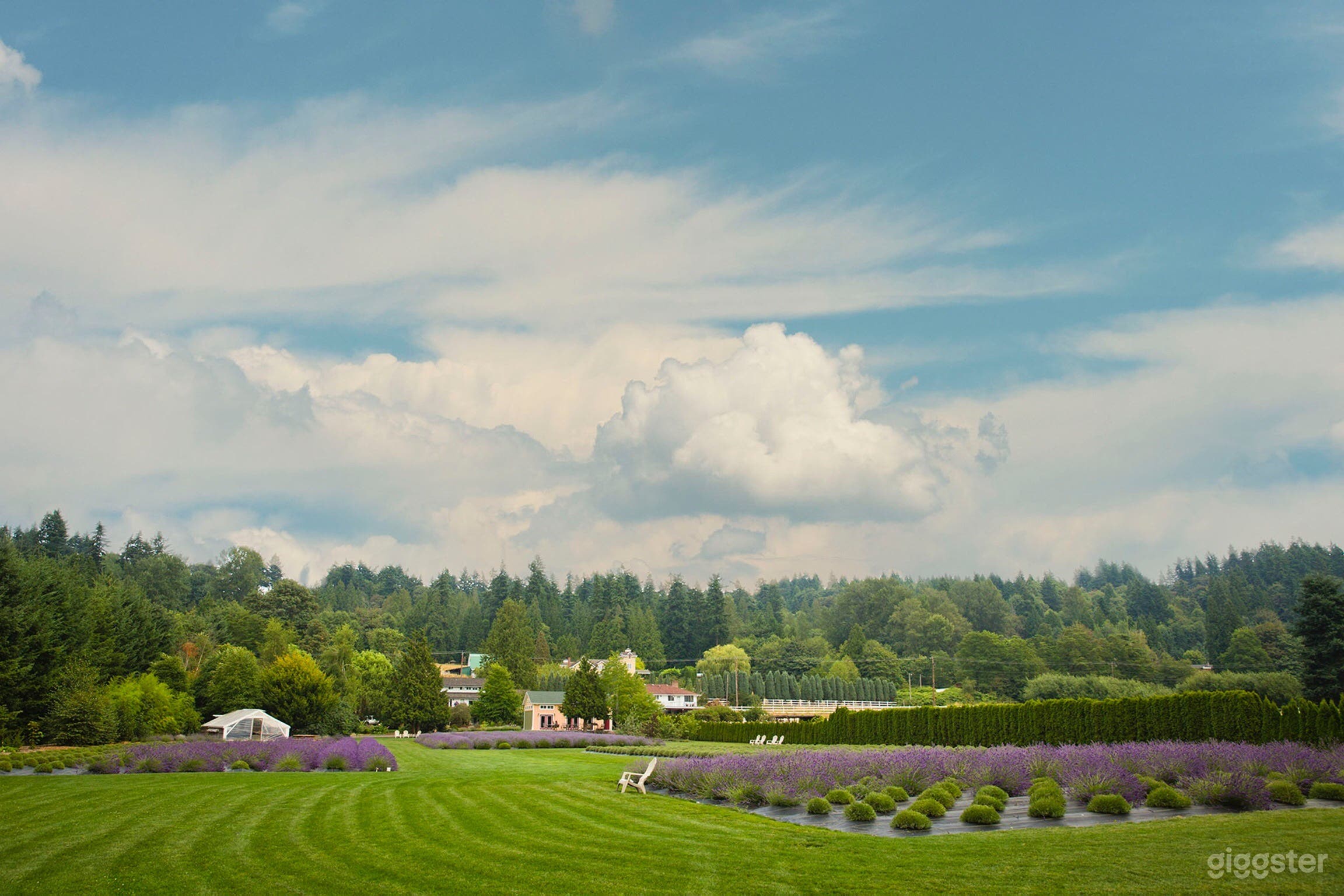 Serene &amp; Stunning Oasis Photo 2