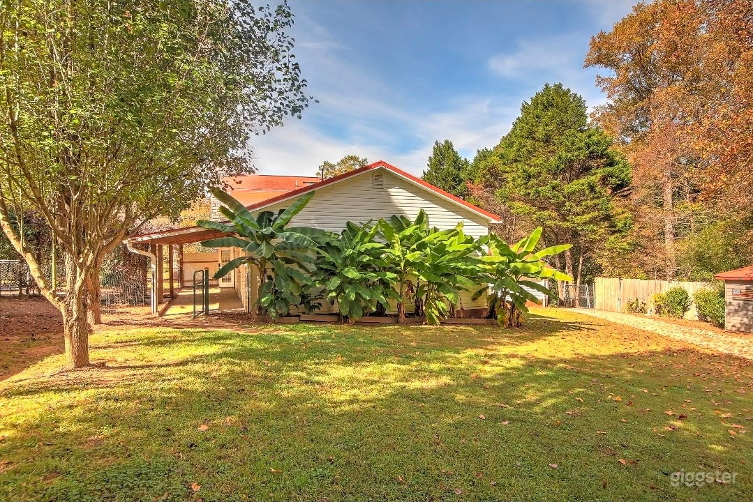 Bamboo garden Pool House Retreat Photo 2