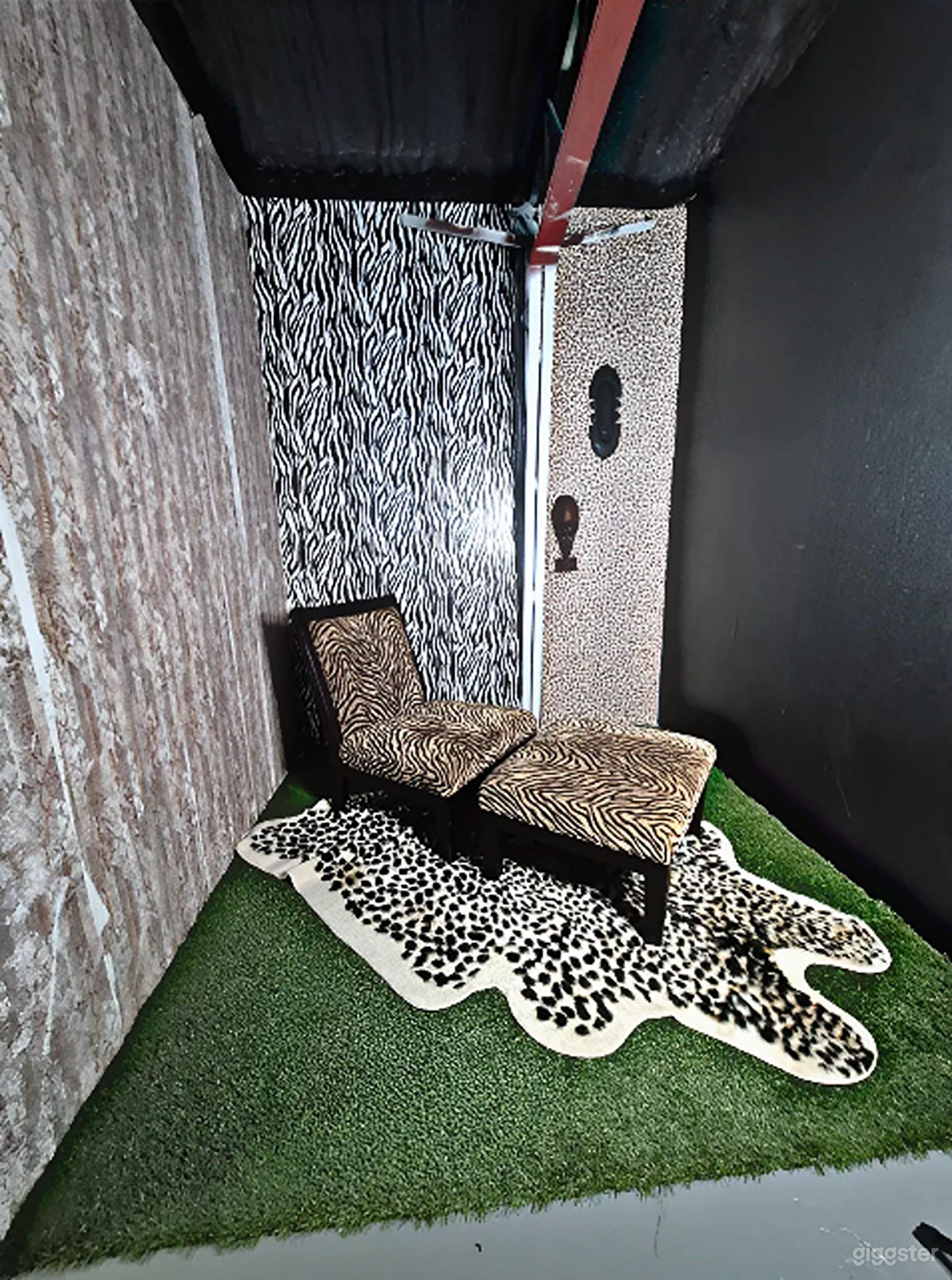 Leopard Print Themed Studio Set Photo 2
