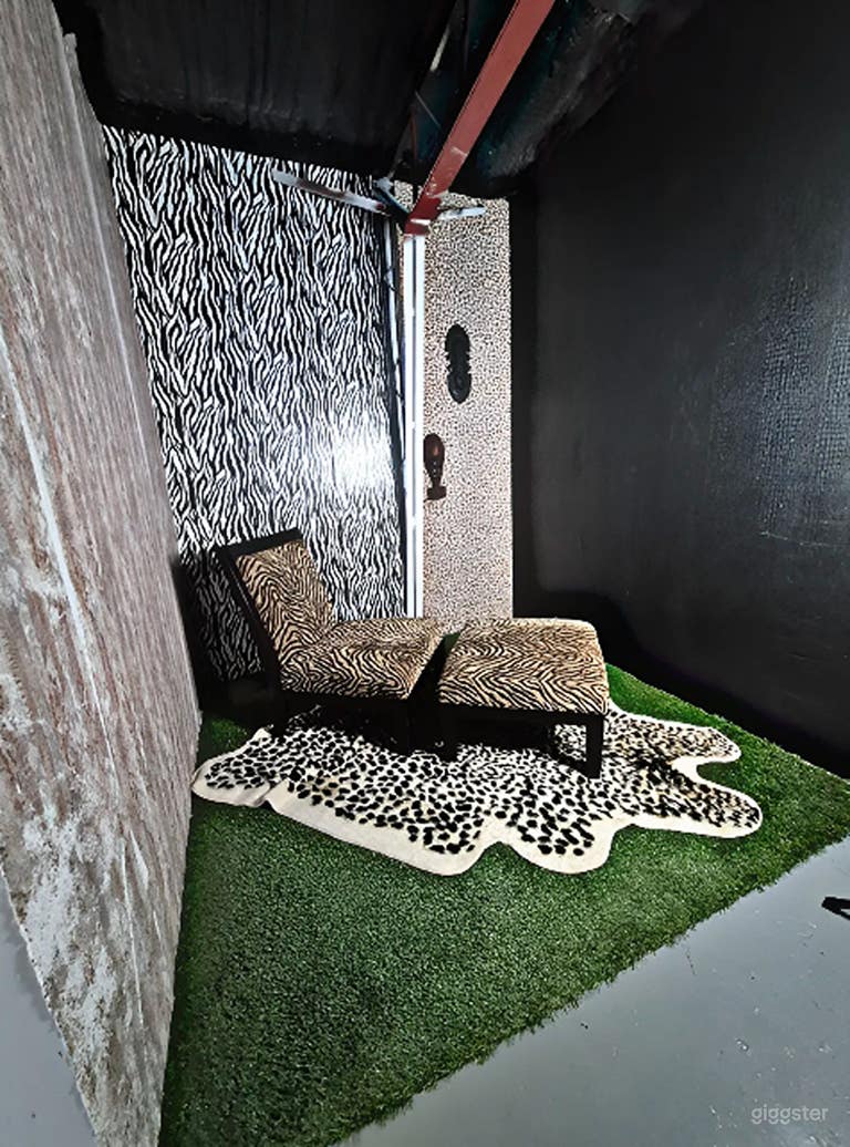 Leopard Print Themed Studio Set 