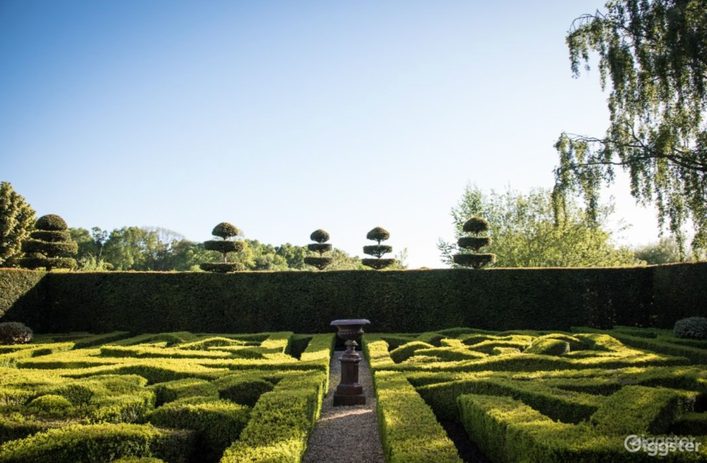 Gorgeous Vineyard and Winery Venue Photo 2