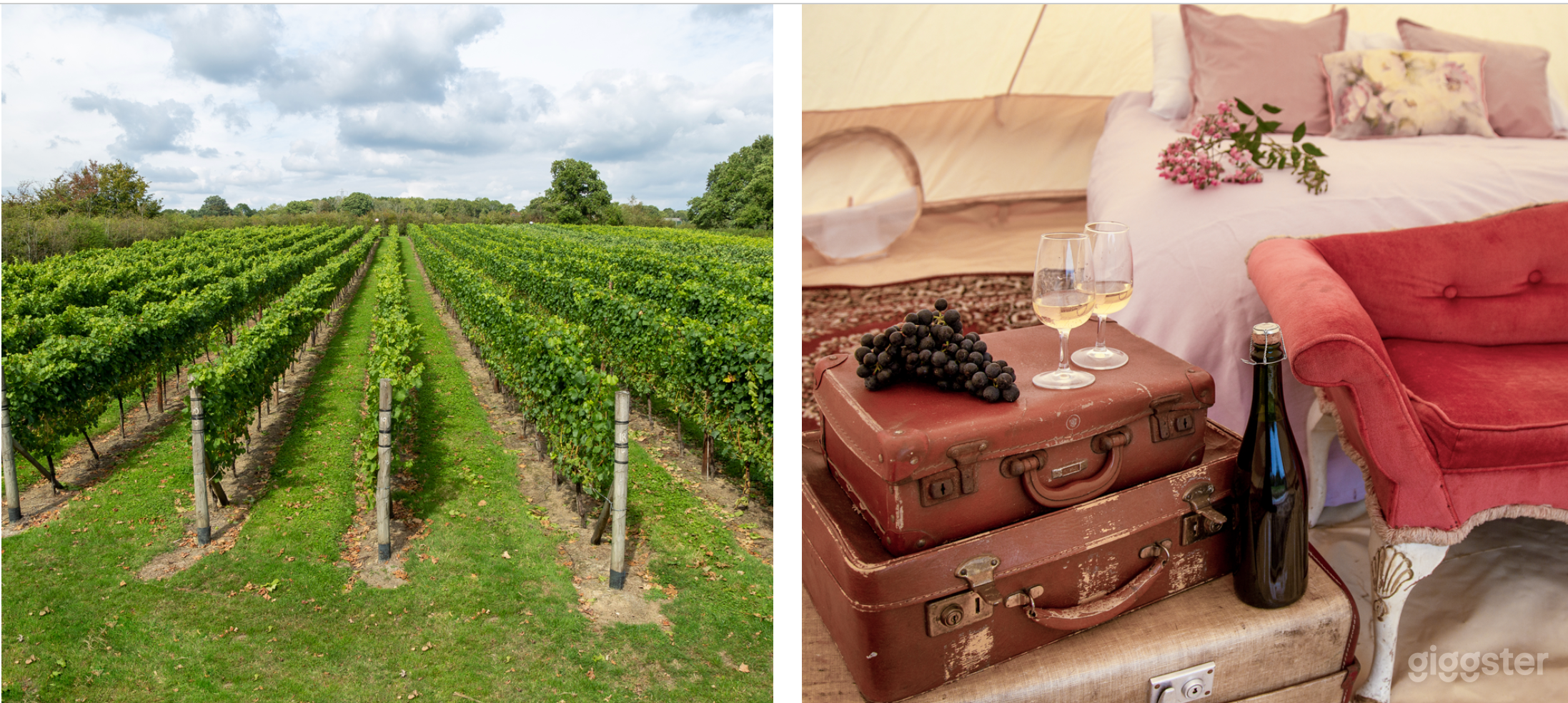 Gorgeous Vineyard and Winery Venue Photo 4