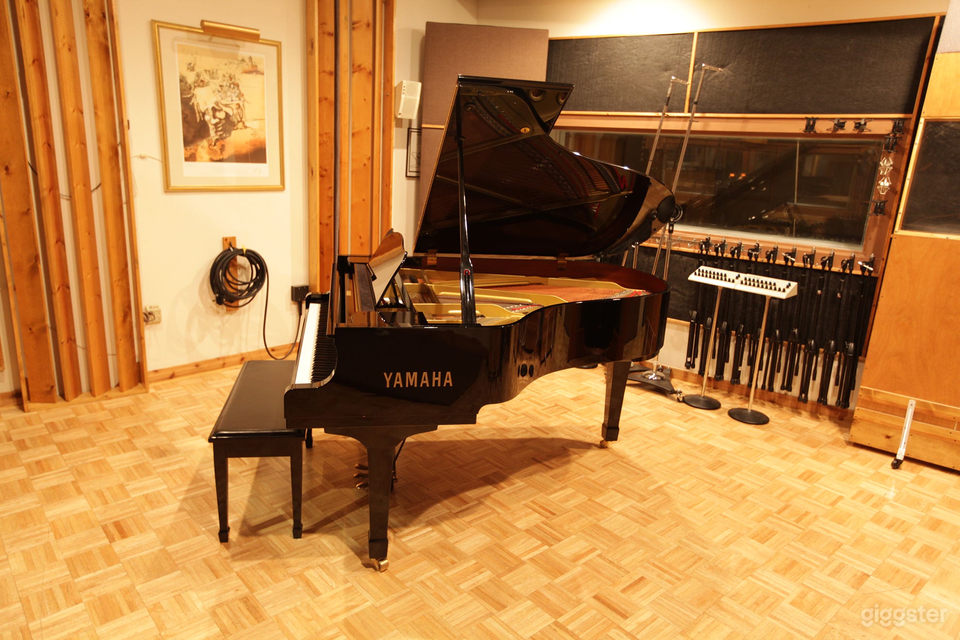 Studio A - Unique Hybrid of High-Quality Digital Recording Studio Photo 4