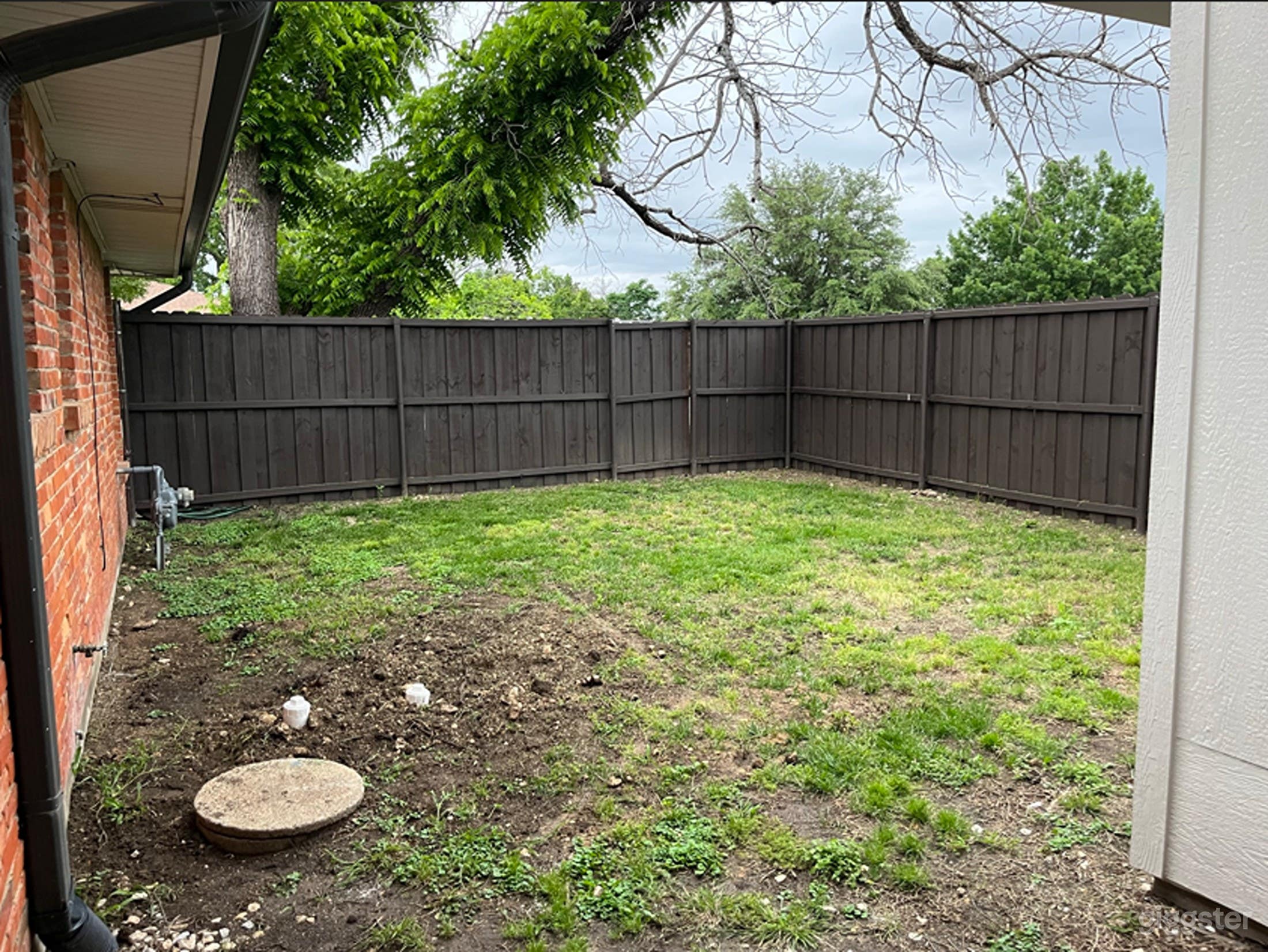 Expansive Yard Photo 4