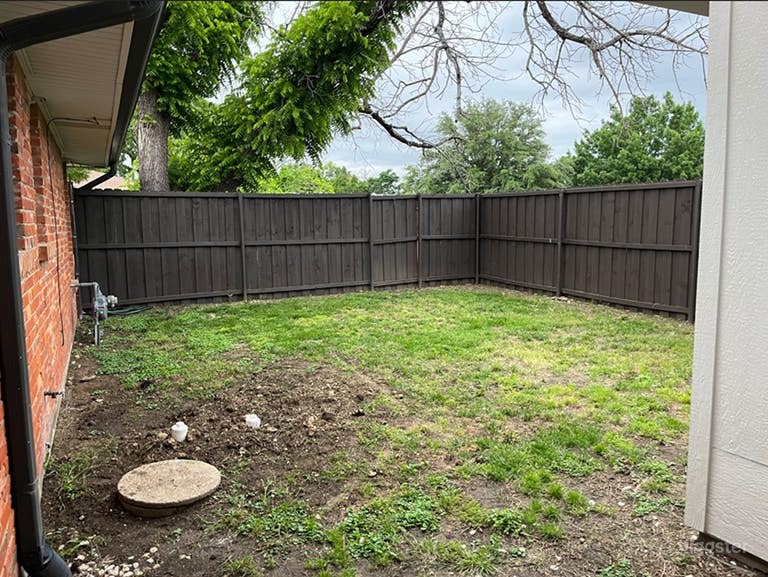  Expansive Yard 